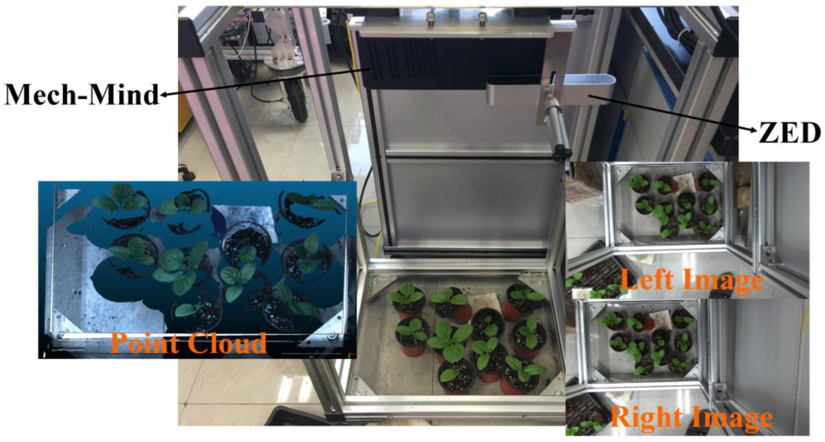 Agriculture 13 00330 g001