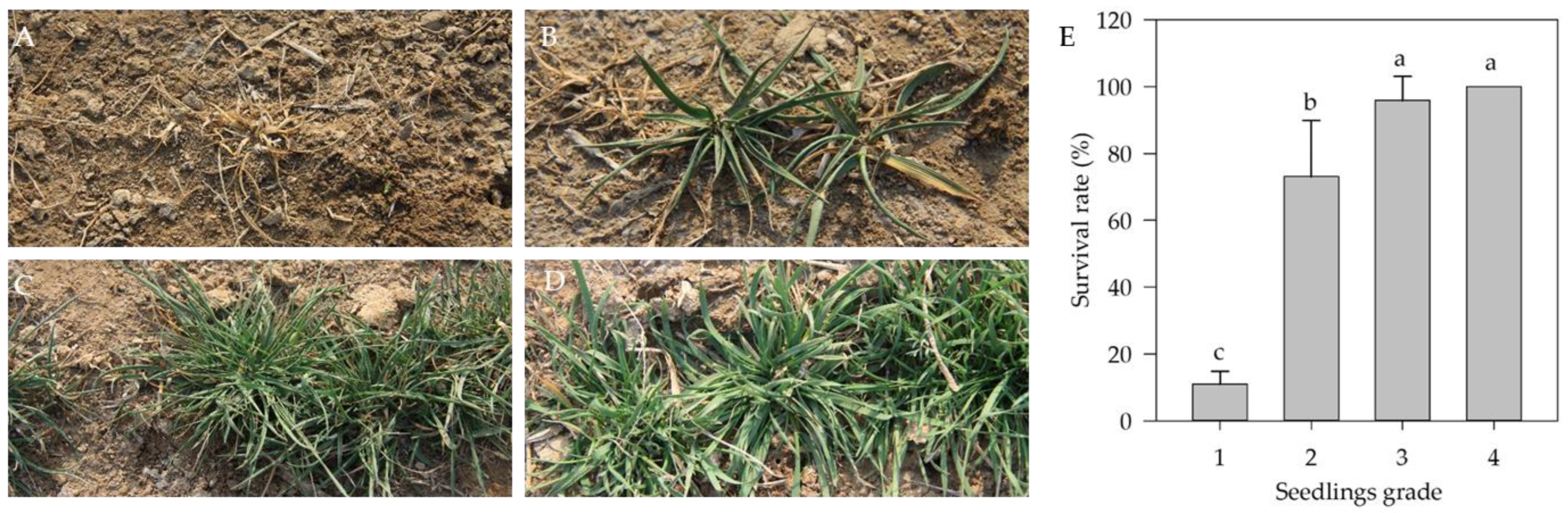 Agriculture 13 00337 g001