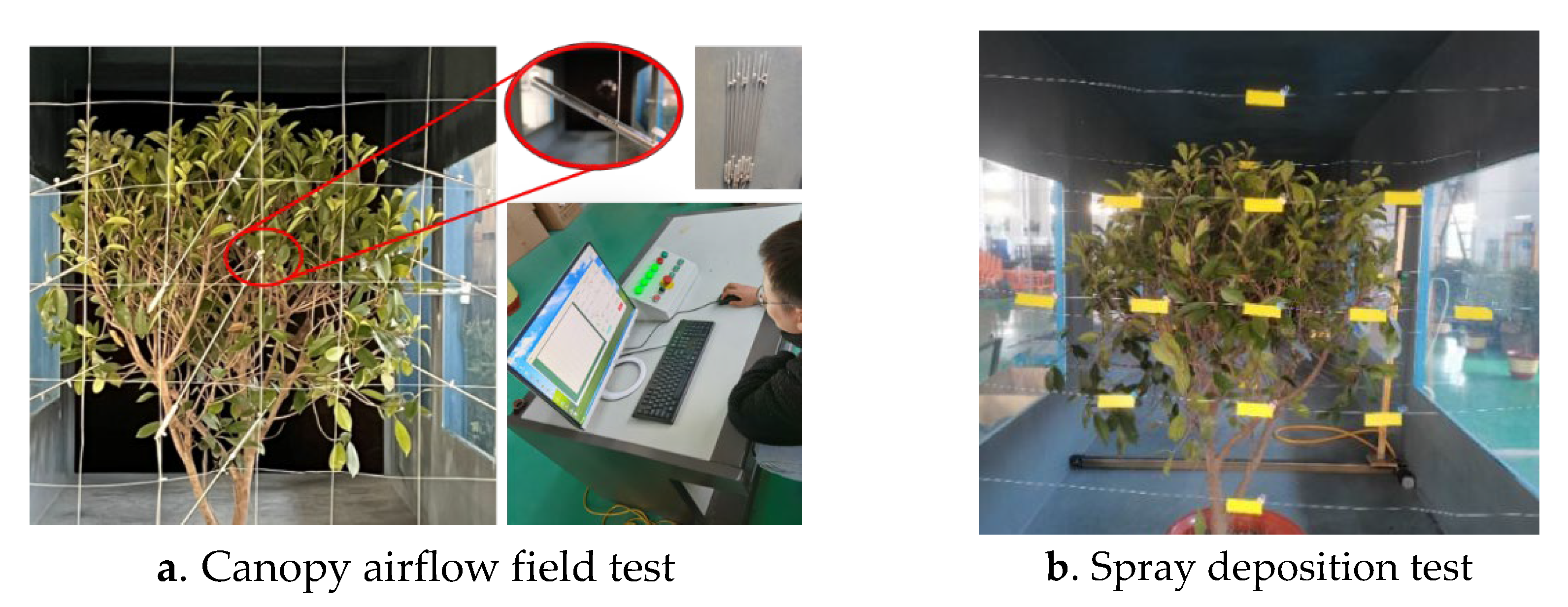 Agriculture 13 00339 g004