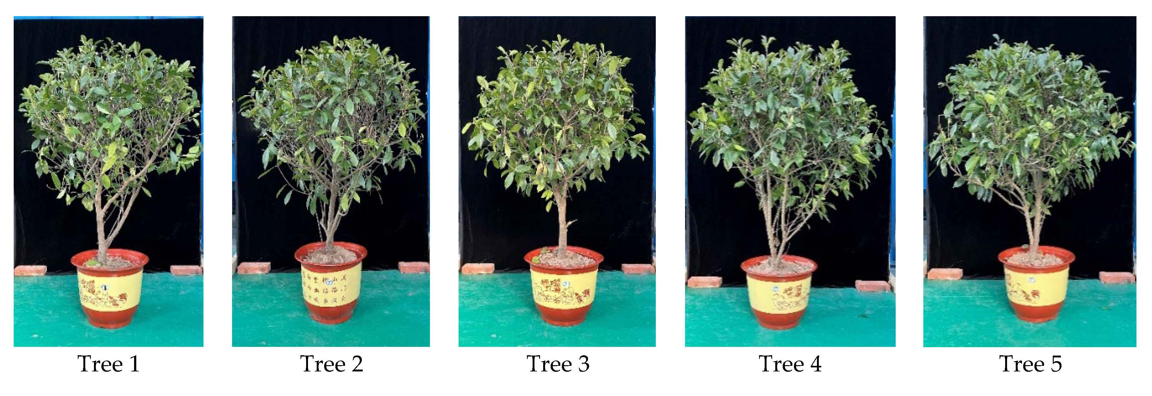 Agriculture 13 00339 g005