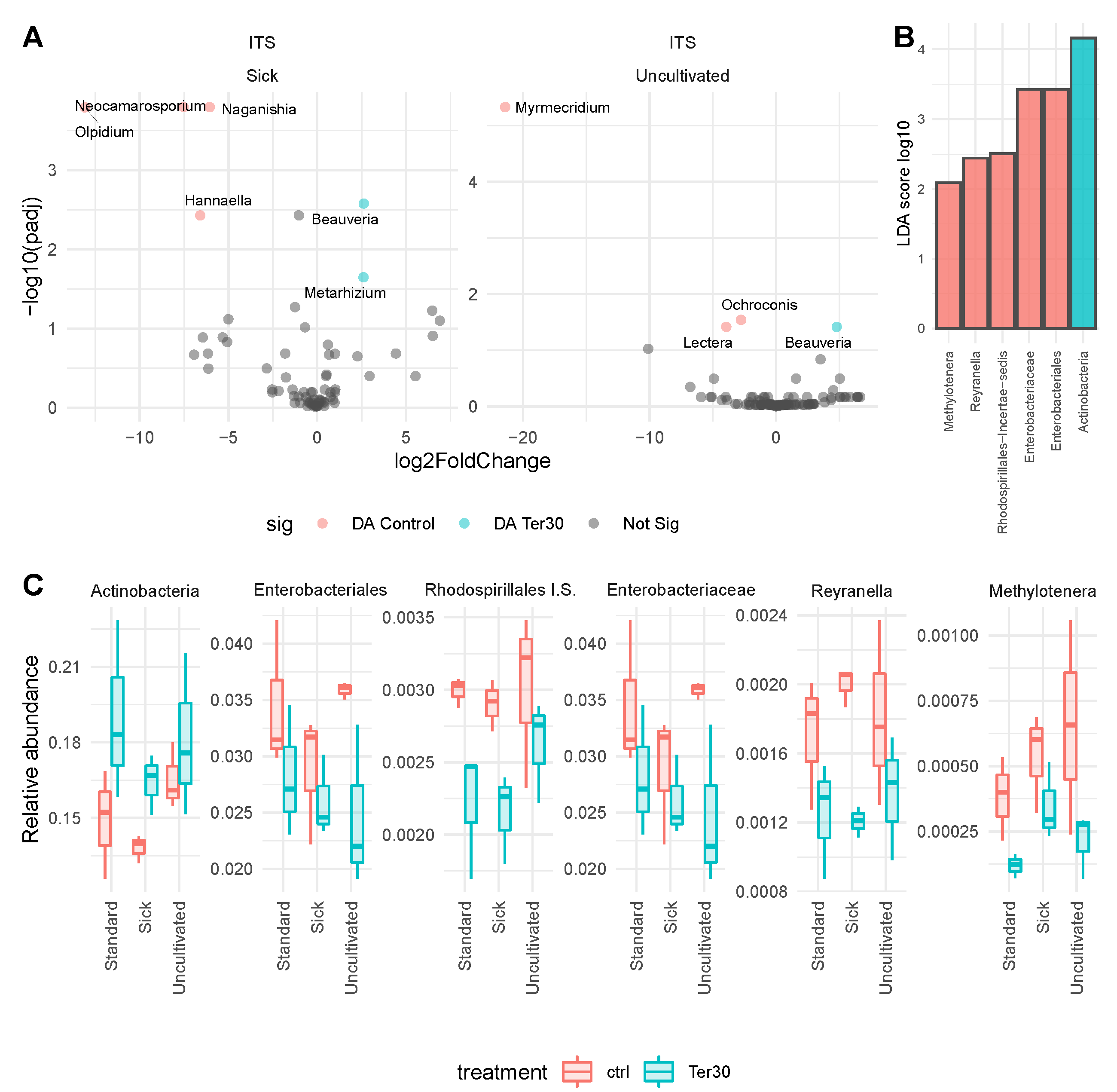 Agriculture 13 00344 g003