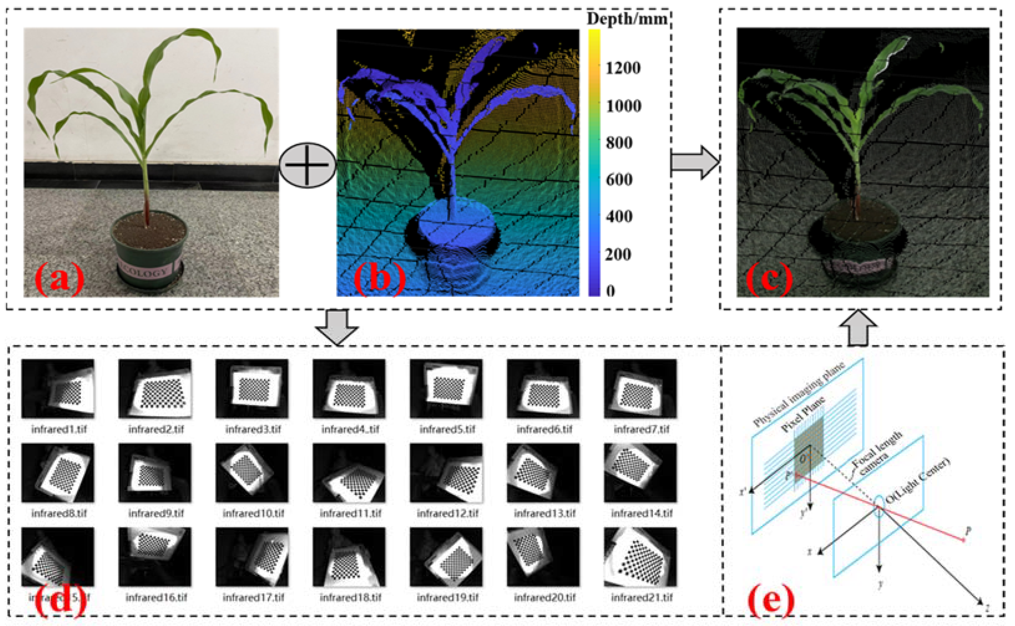 Agriculture 13 00348 g004