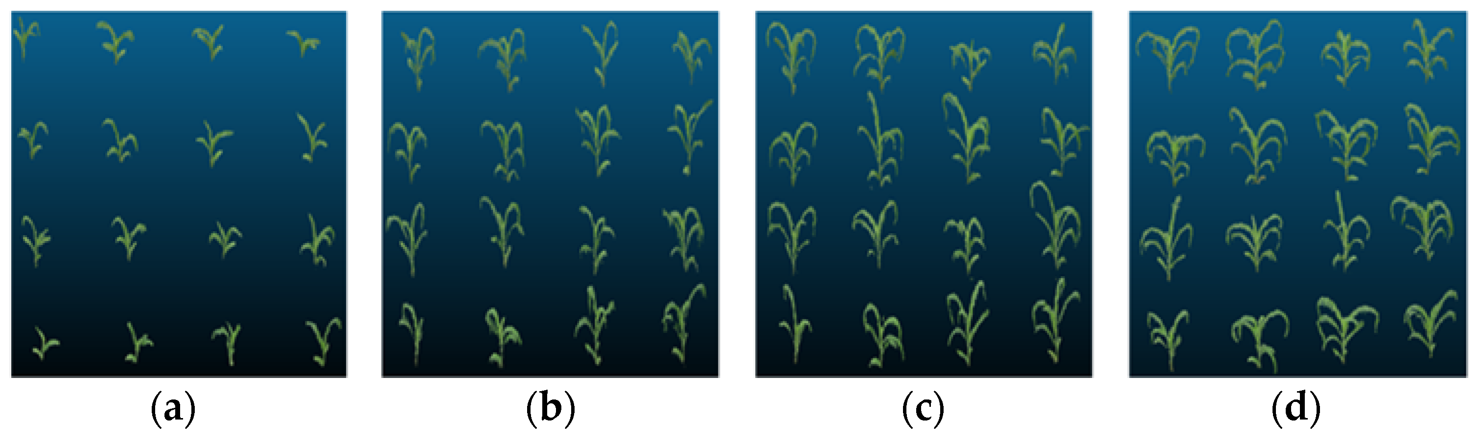 Agriculture 13 00348 g009
