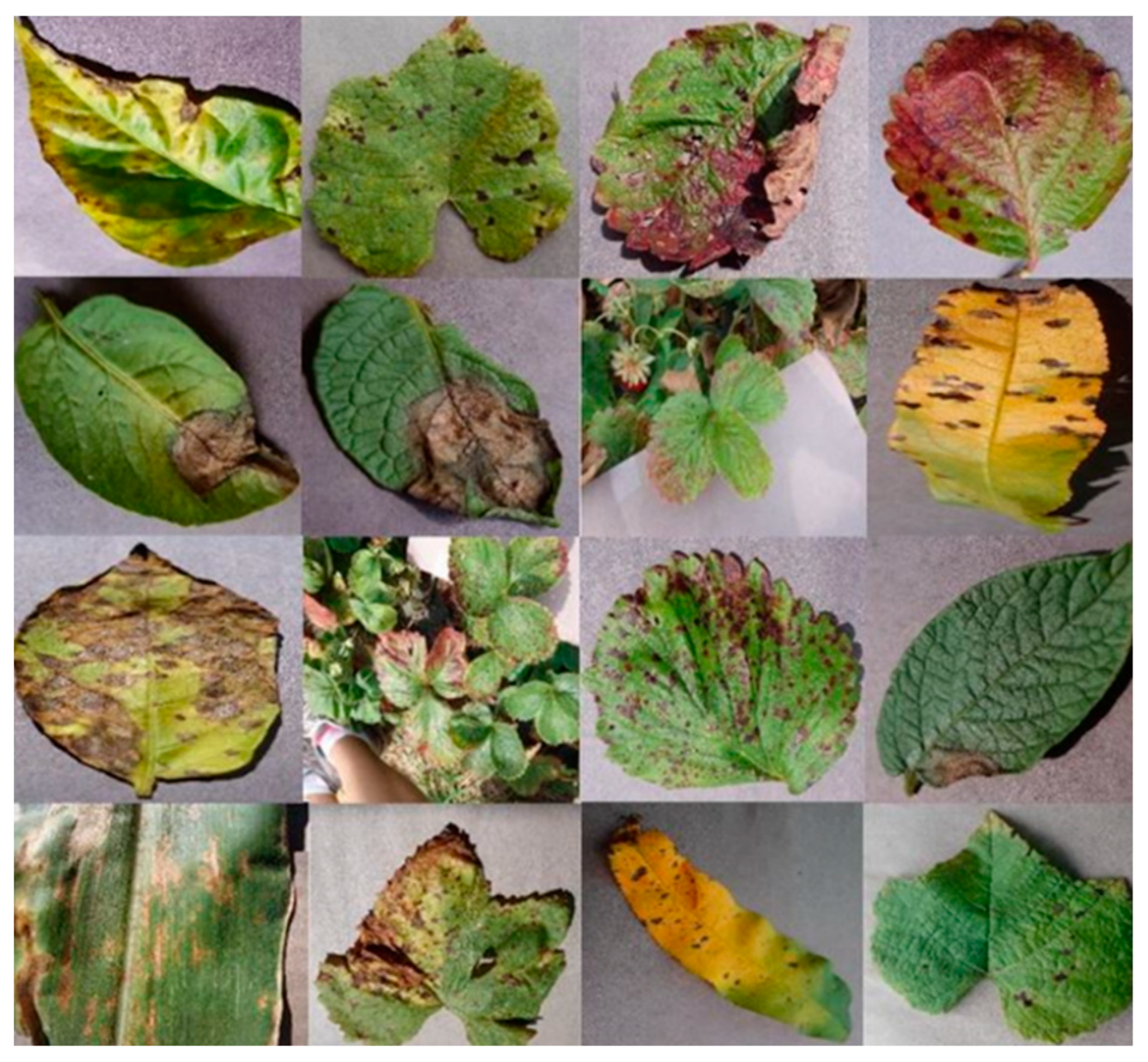 Agriculture 13 00352 g001 Agriculture 13 00352 g001