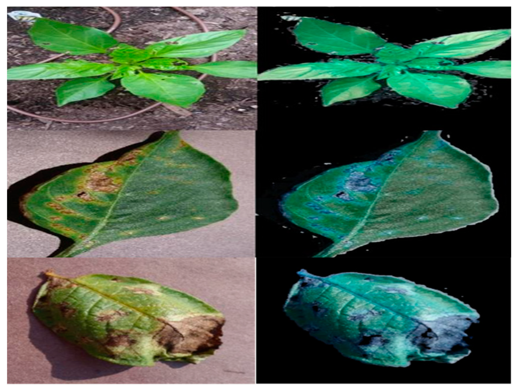 Agriculture 13 00352 g003 Agriculture 13 00352 g003