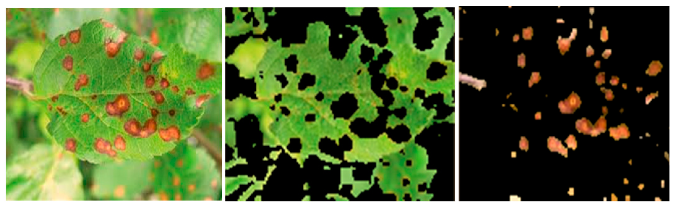 Agriculture 13 00352 g004 Agriculture 13 00352 g004