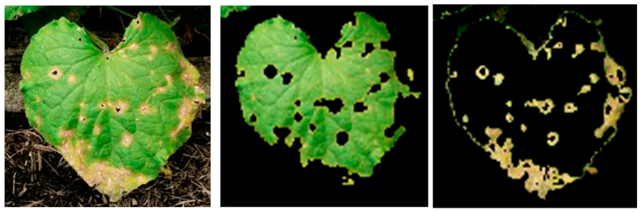 Agriculture 13 00352 g005 Agriculture 13 00352 g005