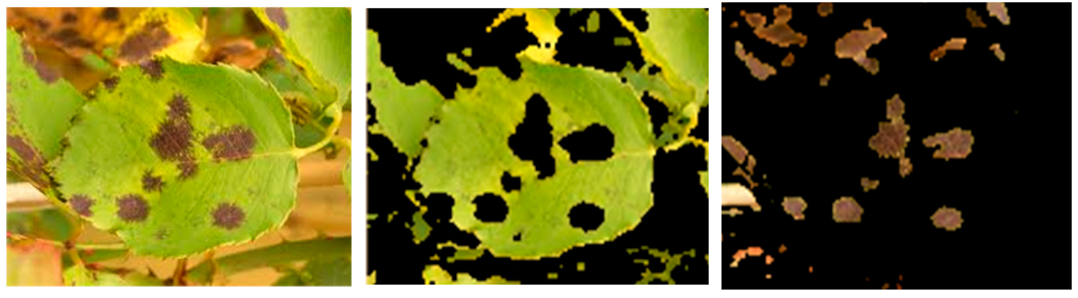 Agriculture 13 00352 g006 Agriculture 13 00352 g006