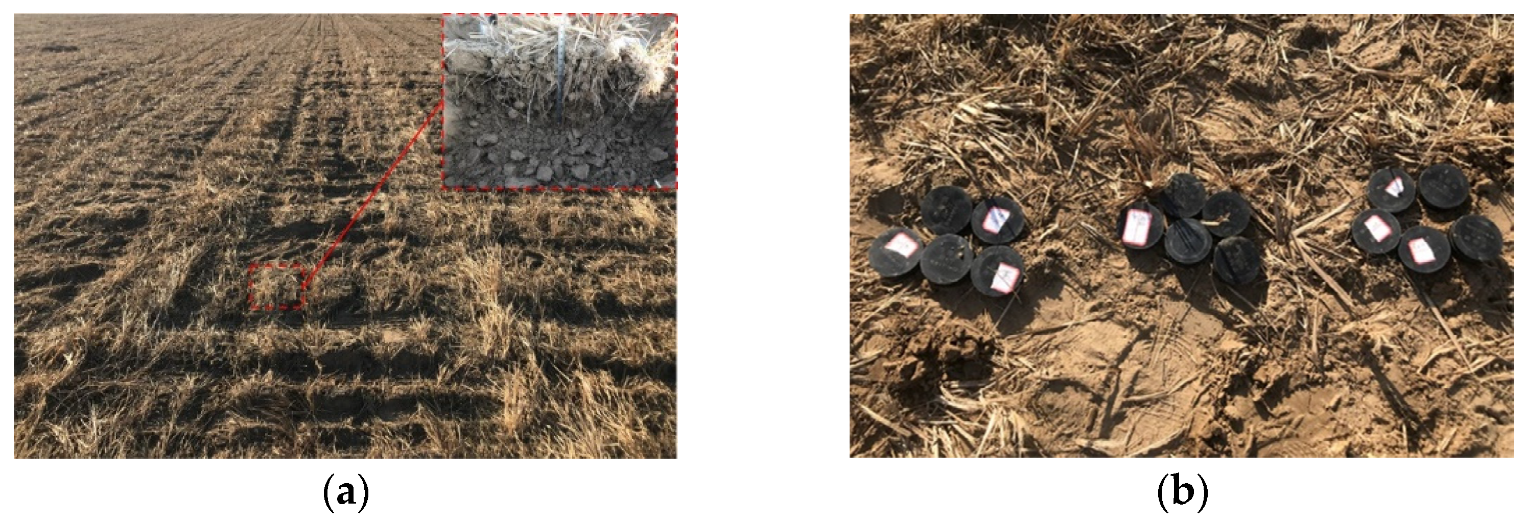 Agriculture 13 00358 g010