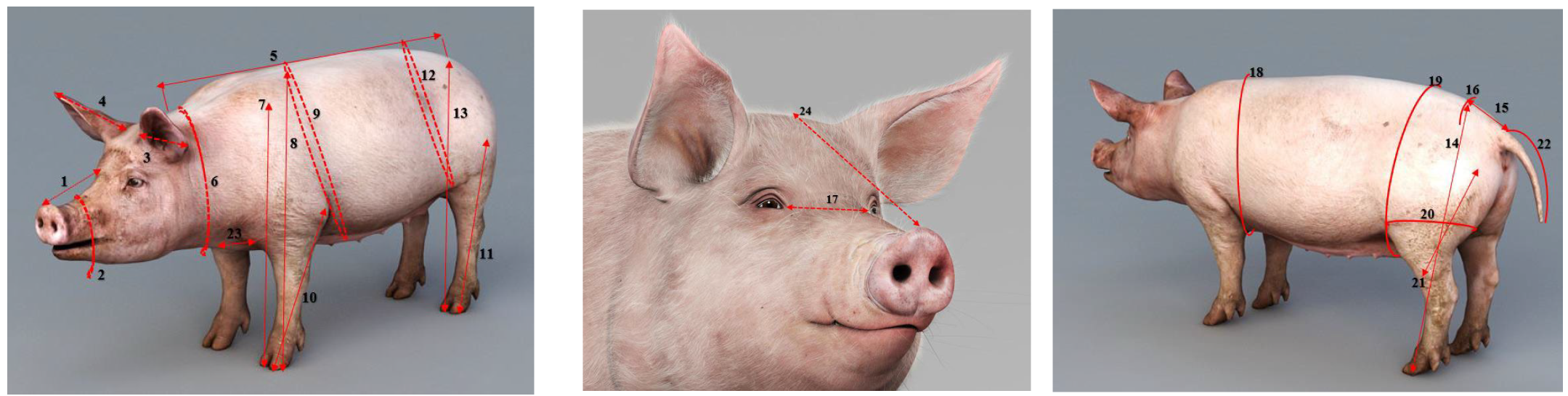 Agriculture 13 00362 g002