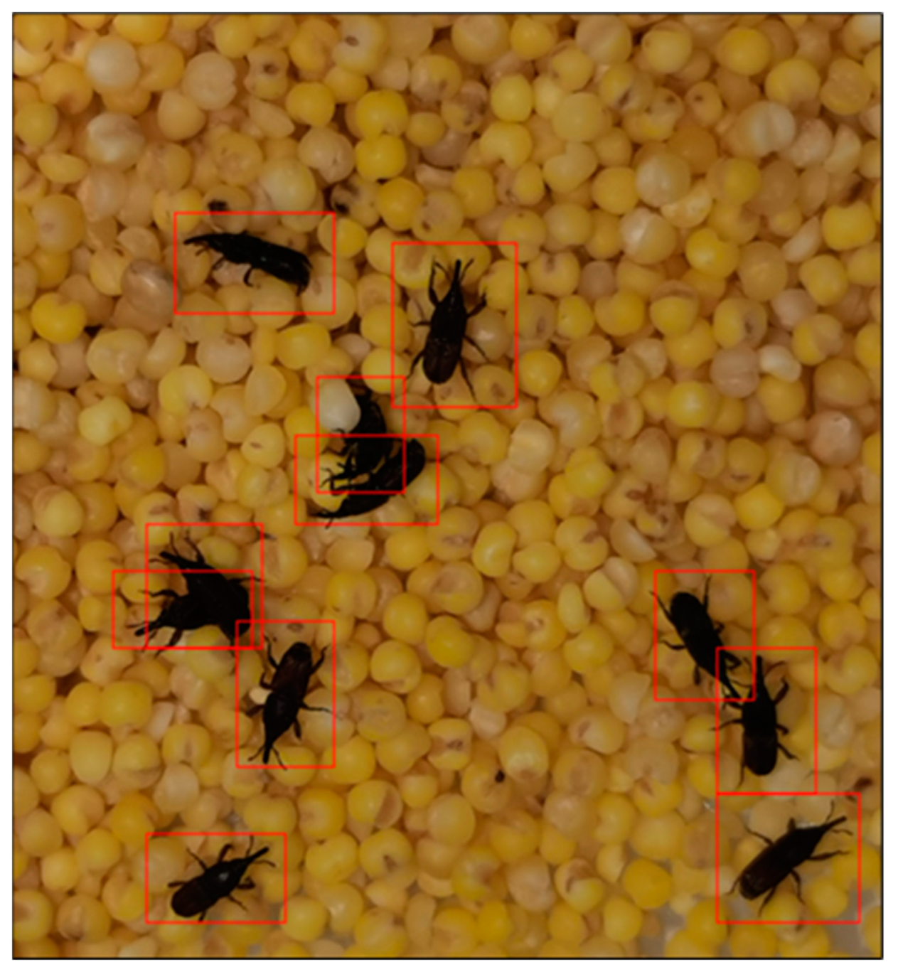 Agriculture 13 00364 g008