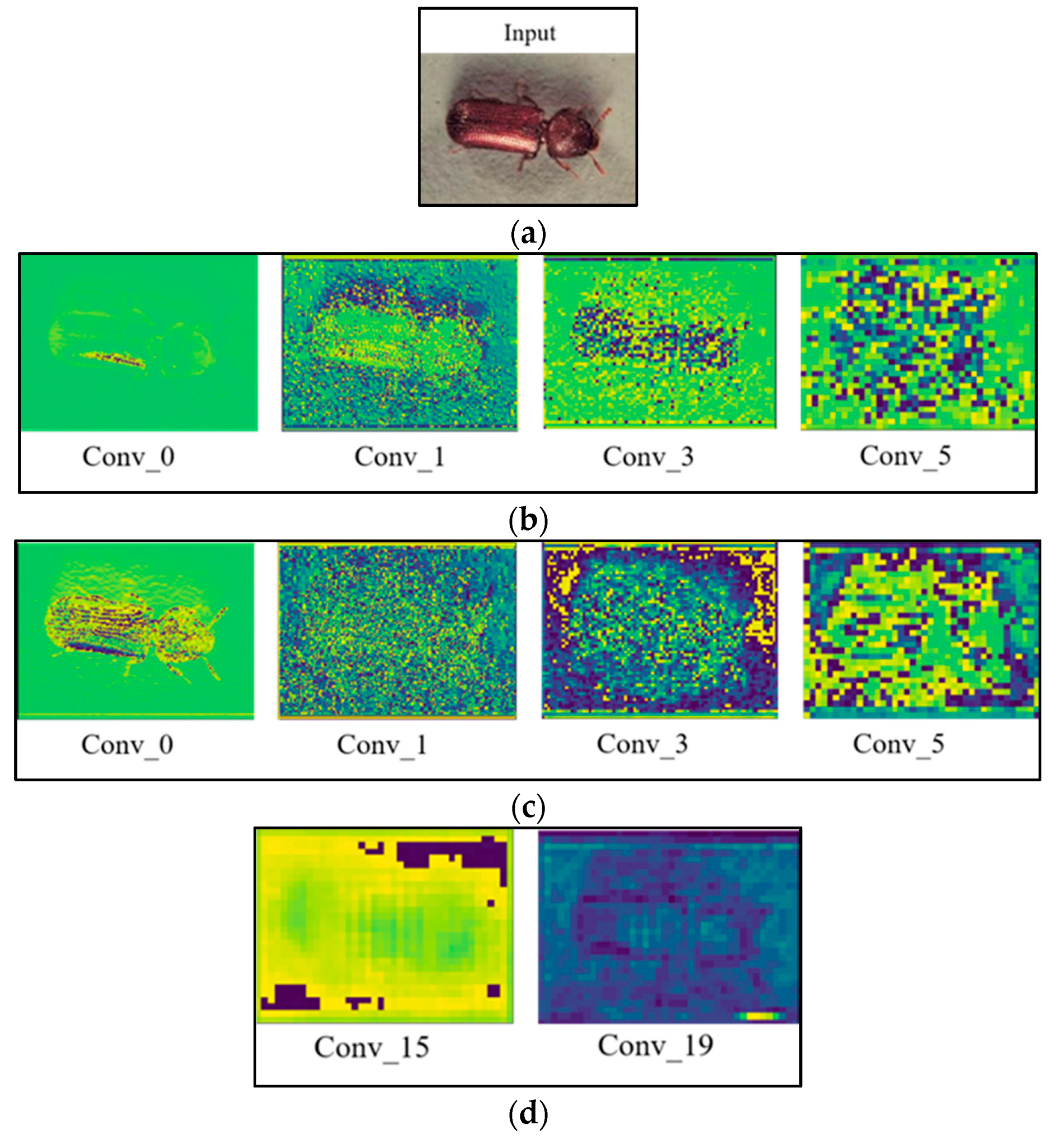 Agriculture 13 00364 g010a