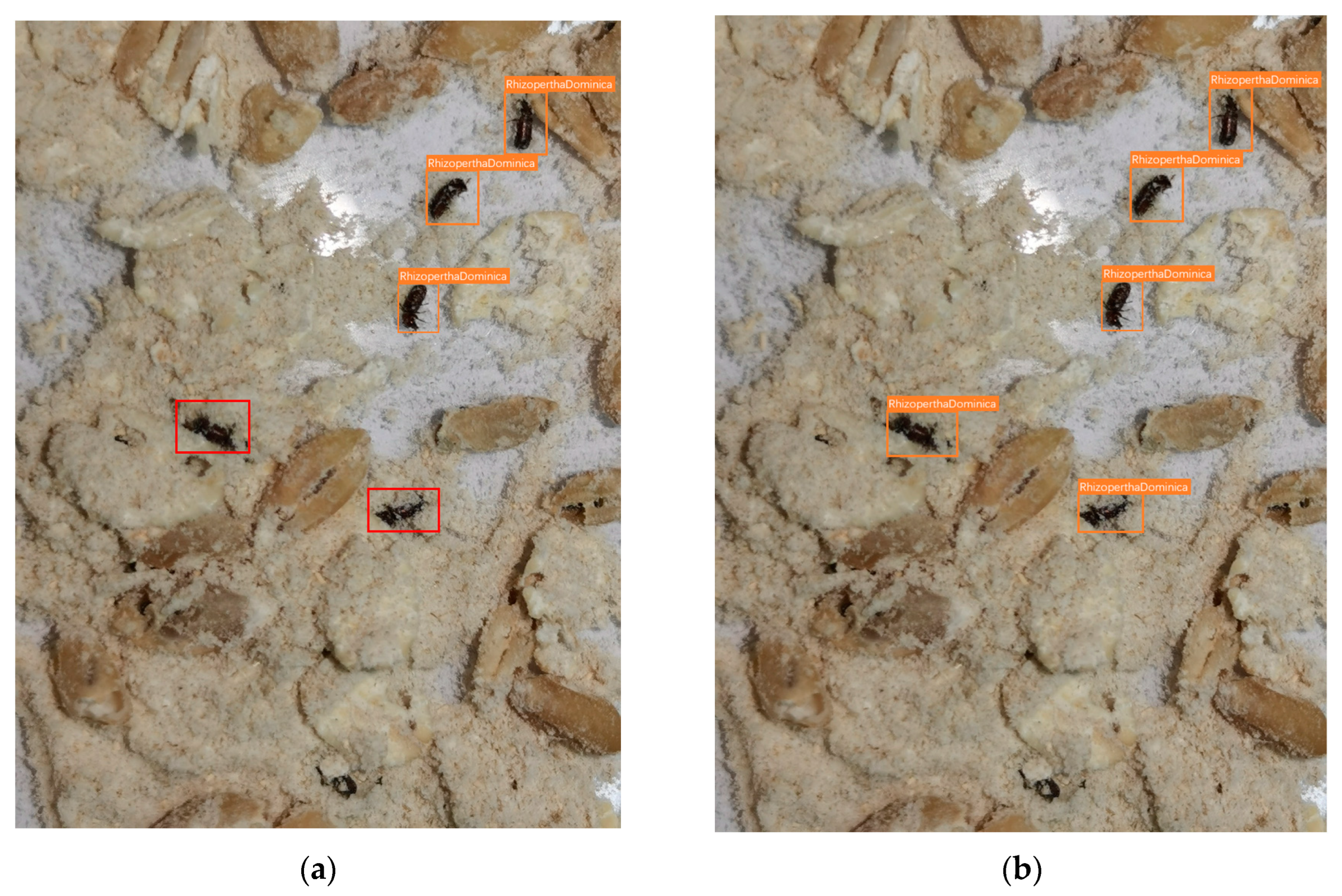 Agriculture 13 00364 g012