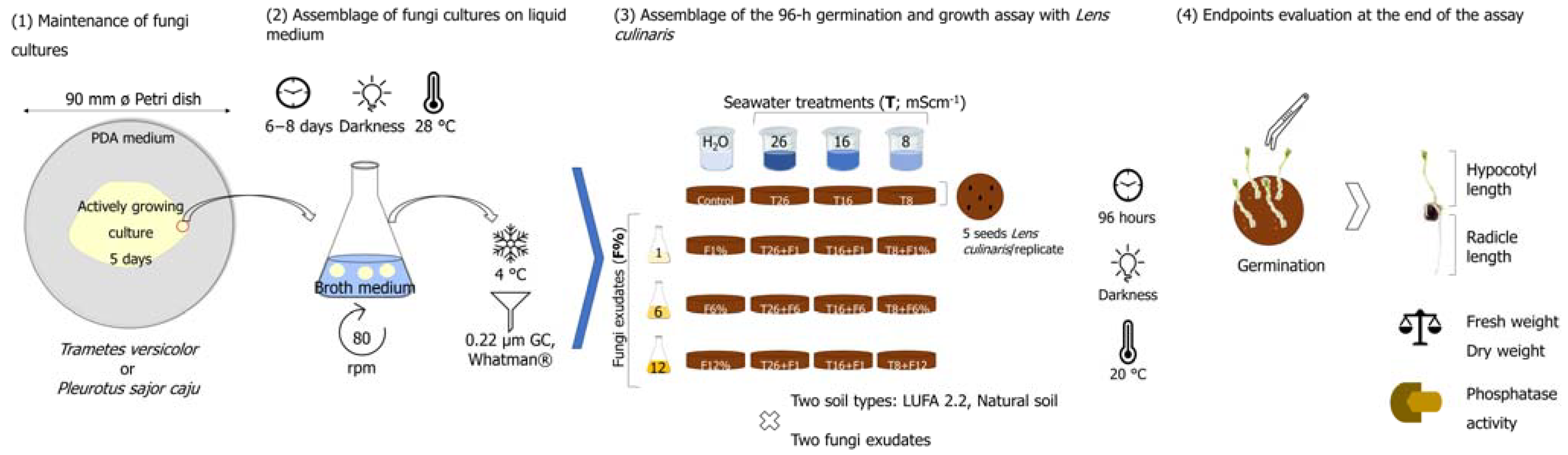 Agriculture 13 00382 g001