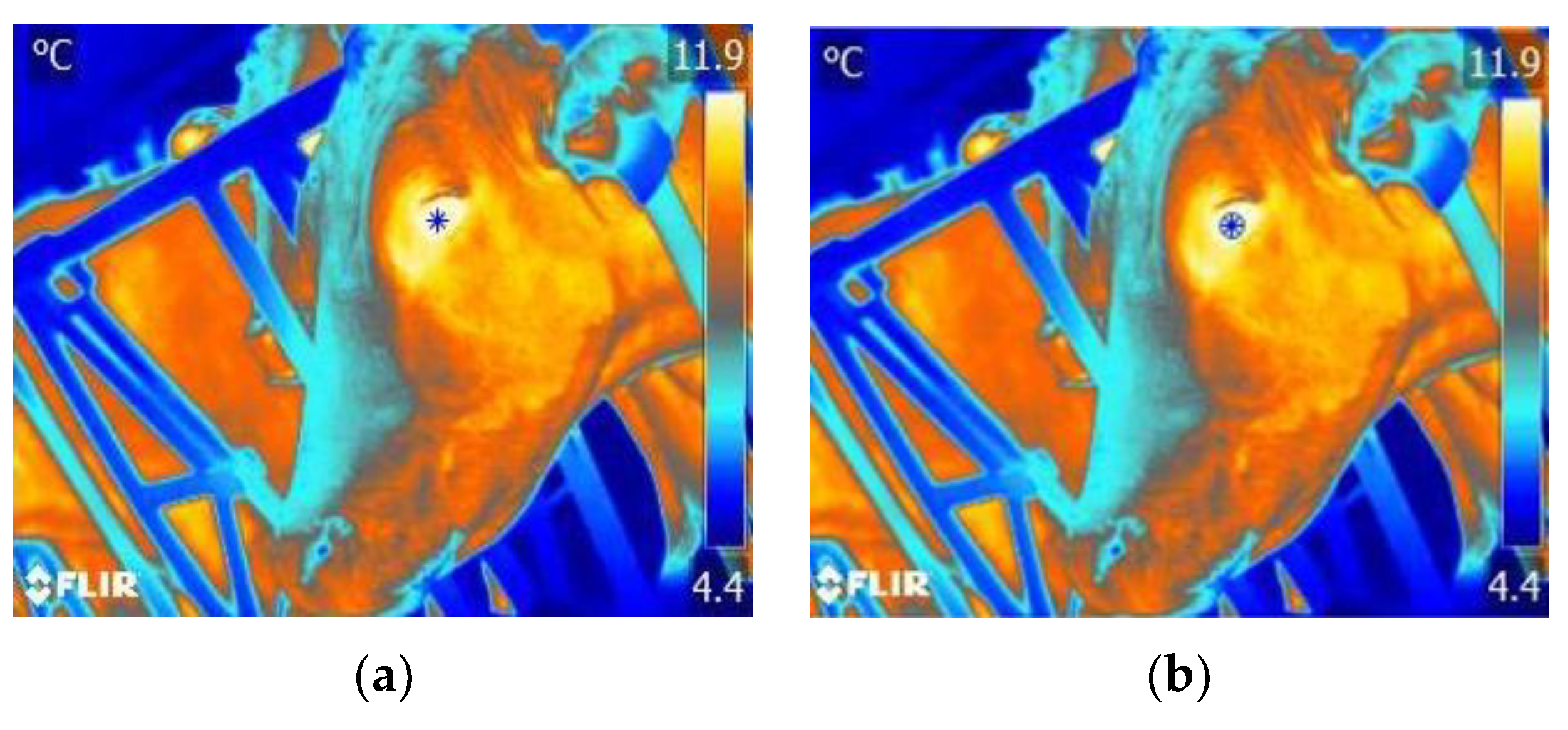 Agriculture 13 00385 g008a