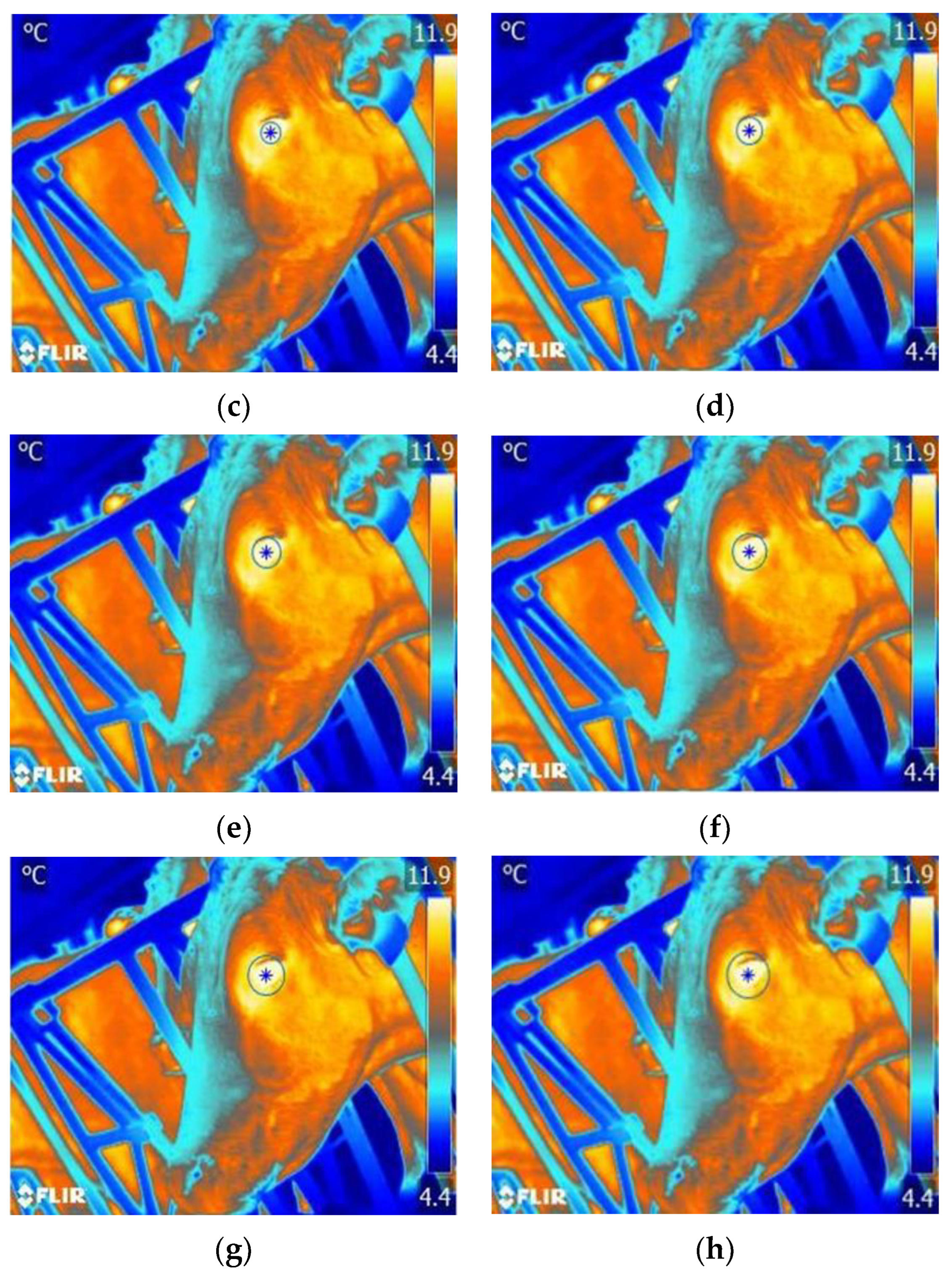 Agriculture 13 00385 g008b