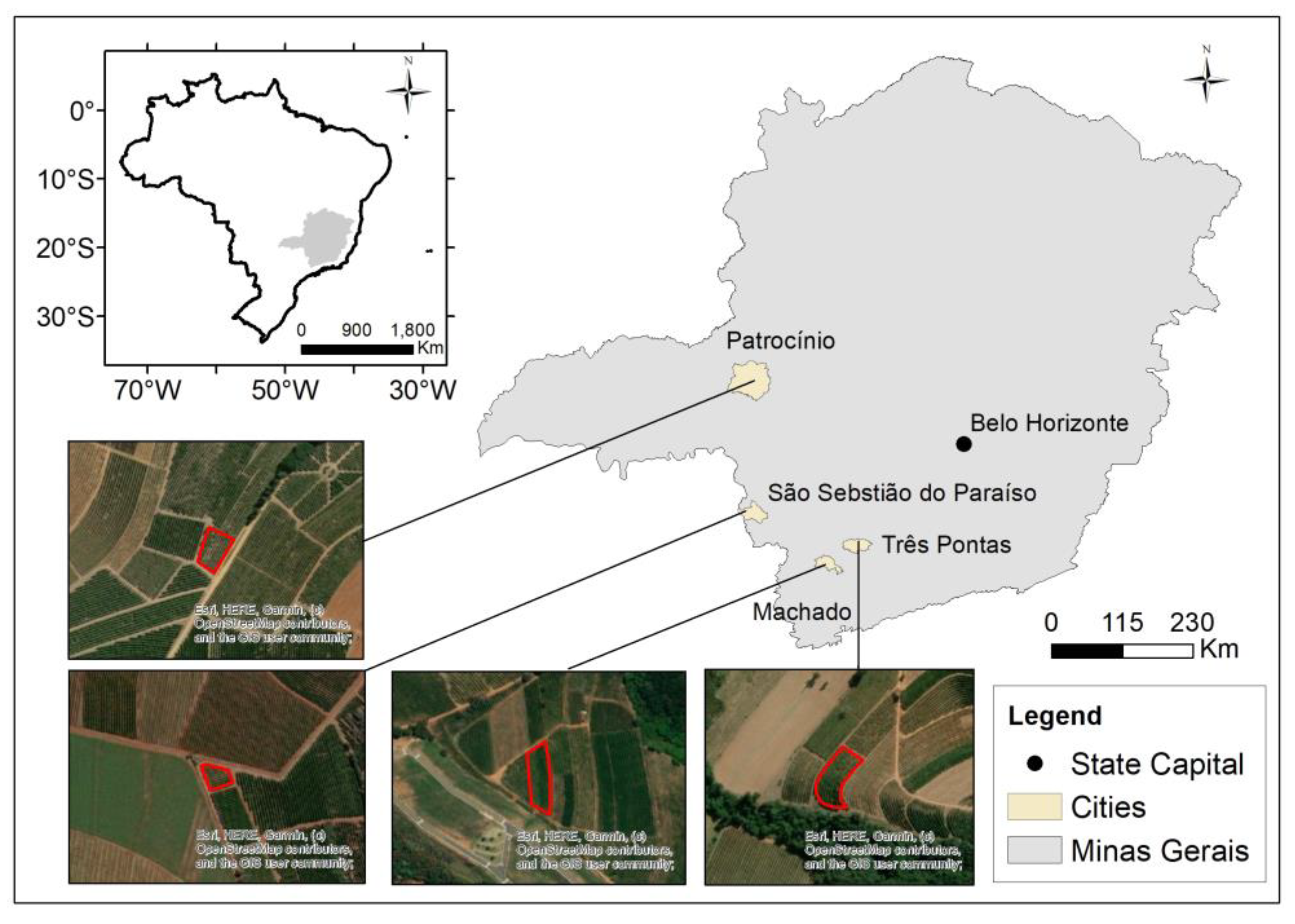 Agriculture 13 00388 g001