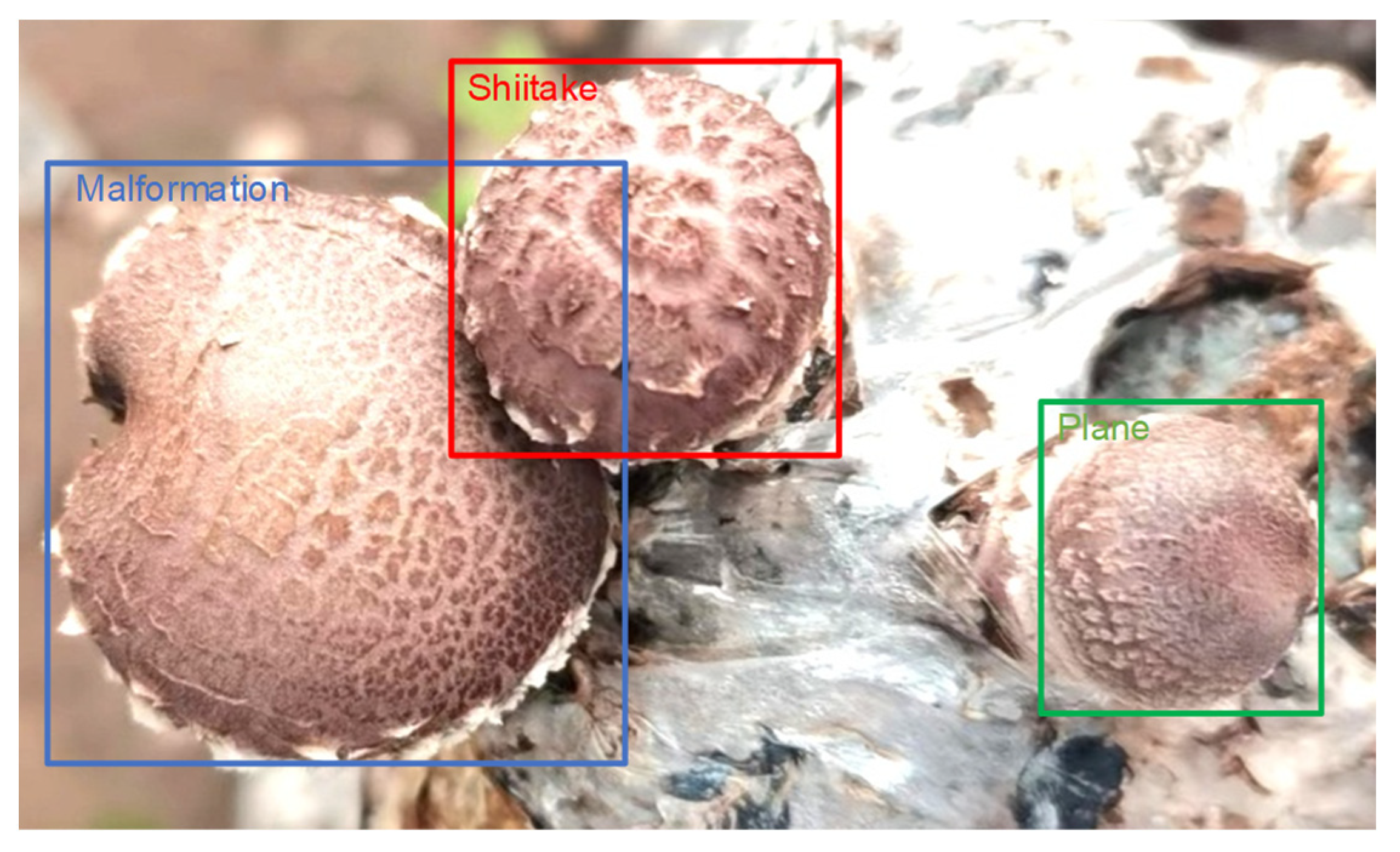 Agriculture 13 00392 g002