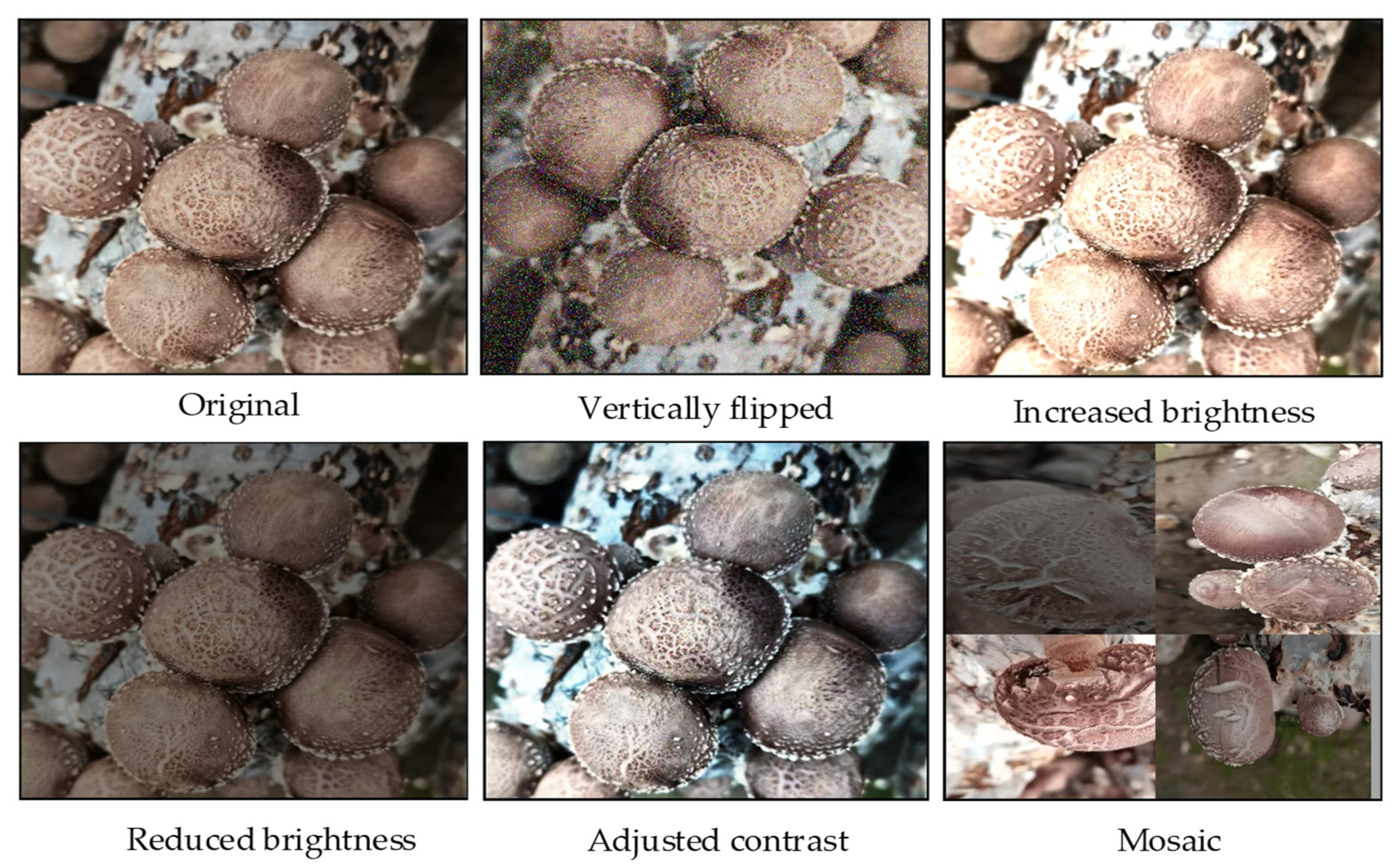 Agriculture 13 00392 g003