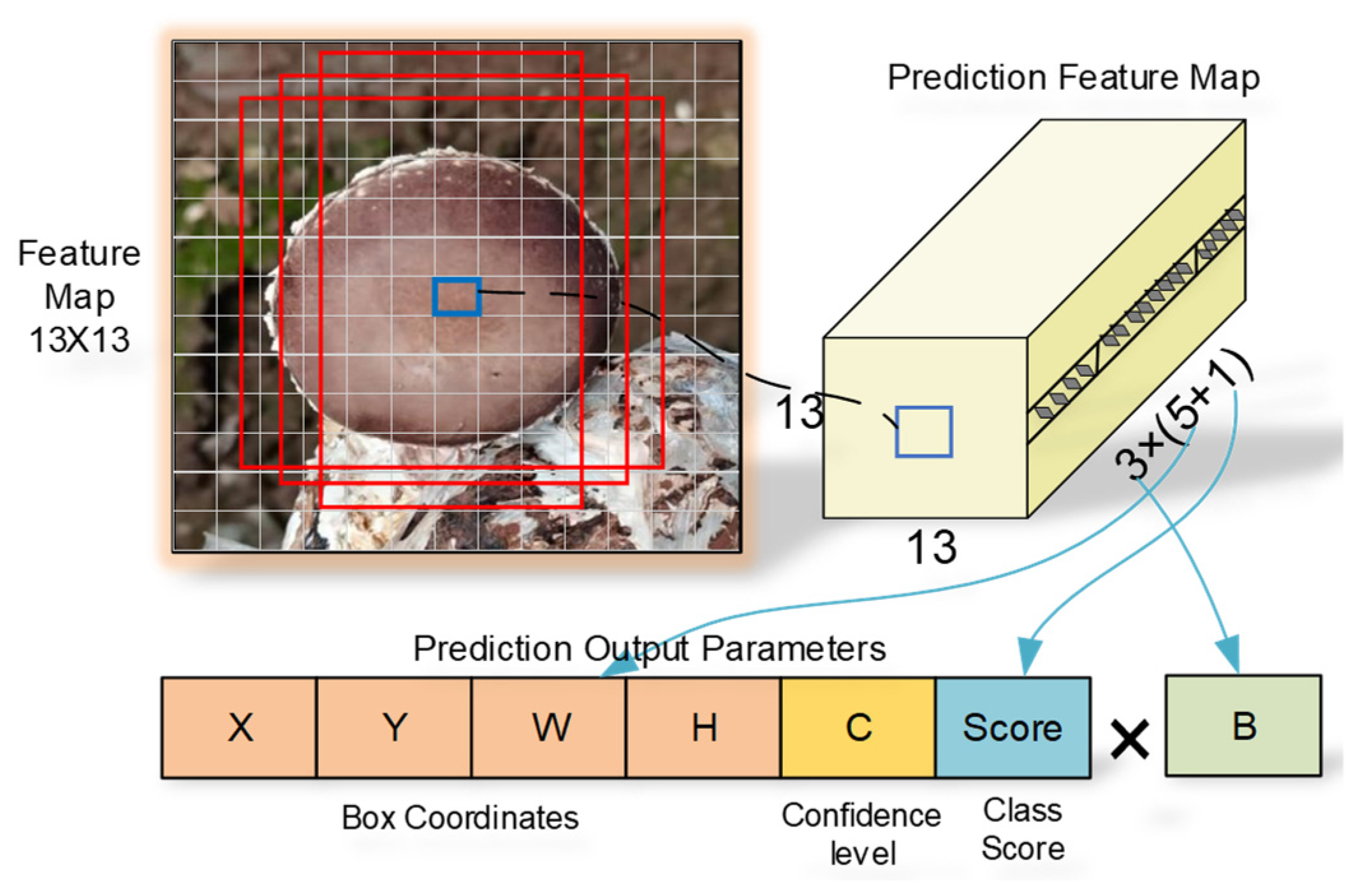 Agriculture 13 00392 g005