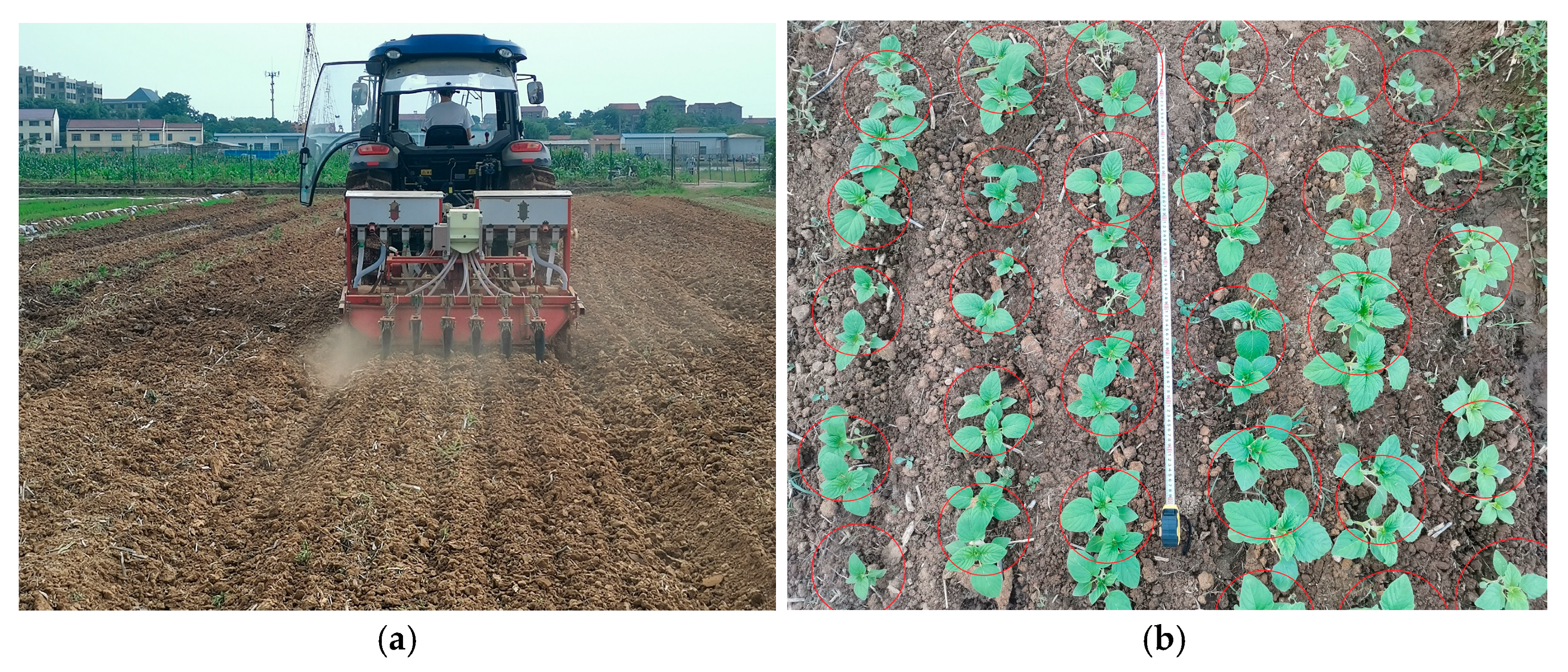 Agriculture 13 00393 g015