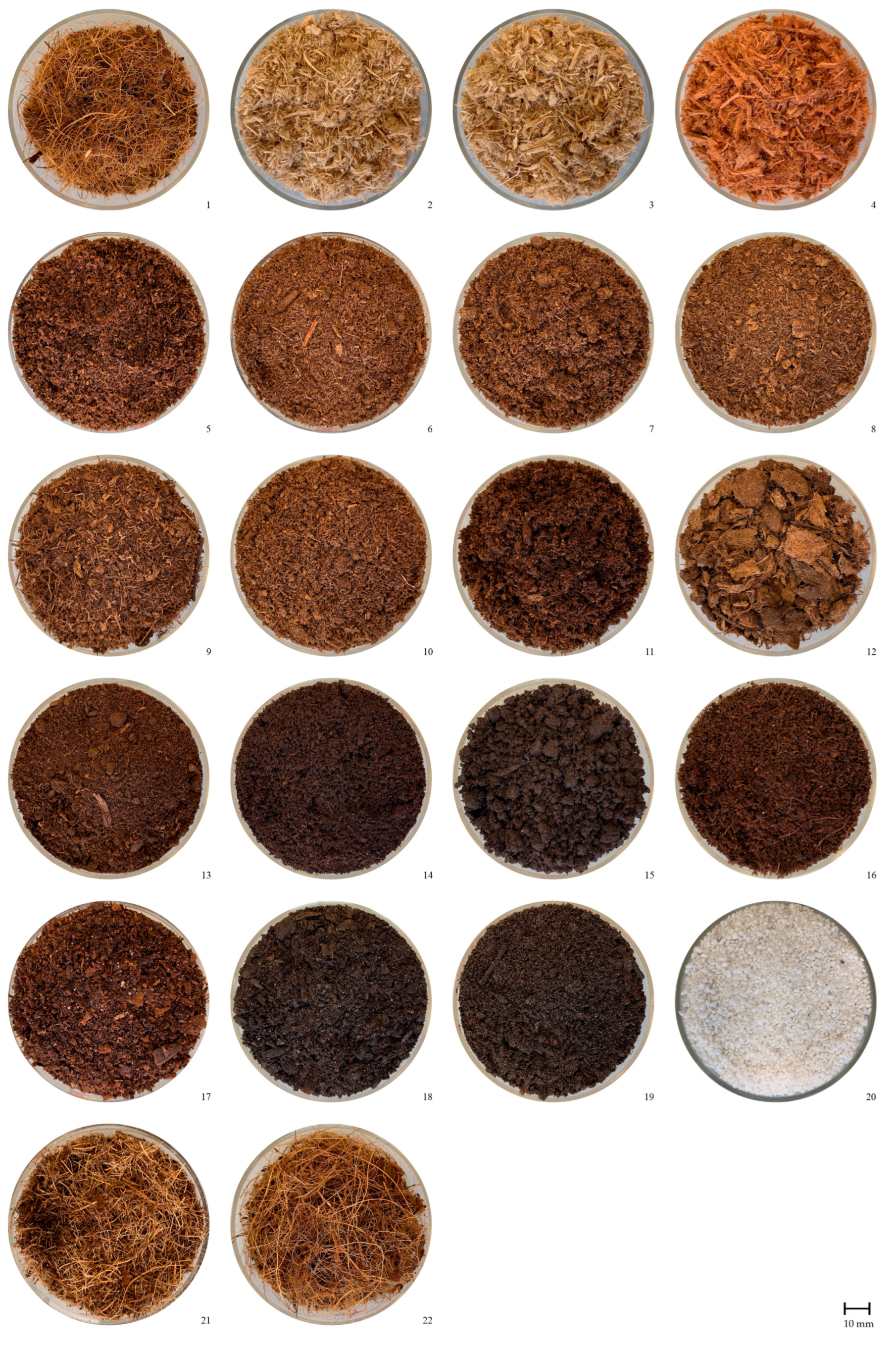 Agriculture 13 00396 g001