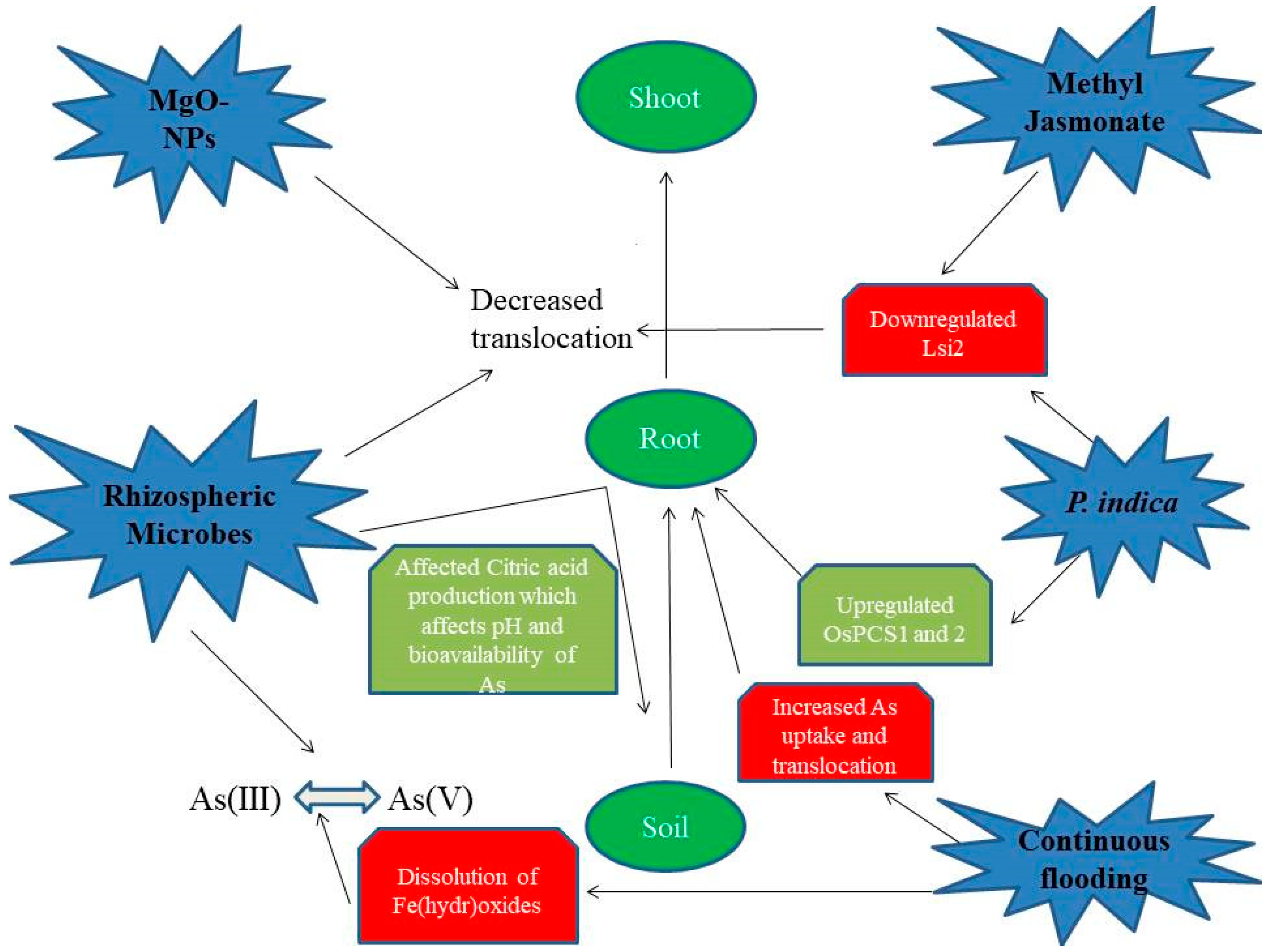 Agriculture 13 00401 g002