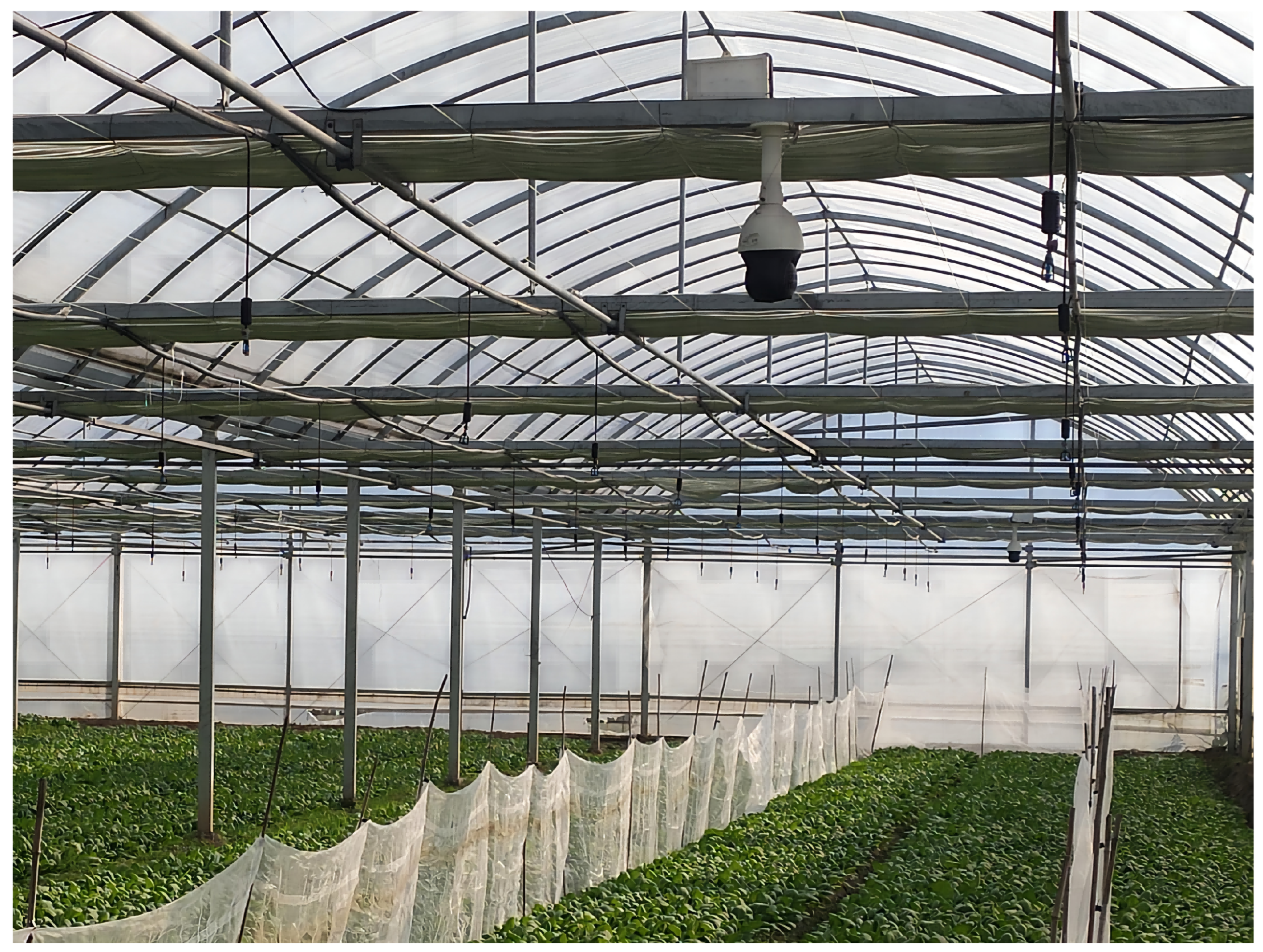 Agriculture 13 00403 g001