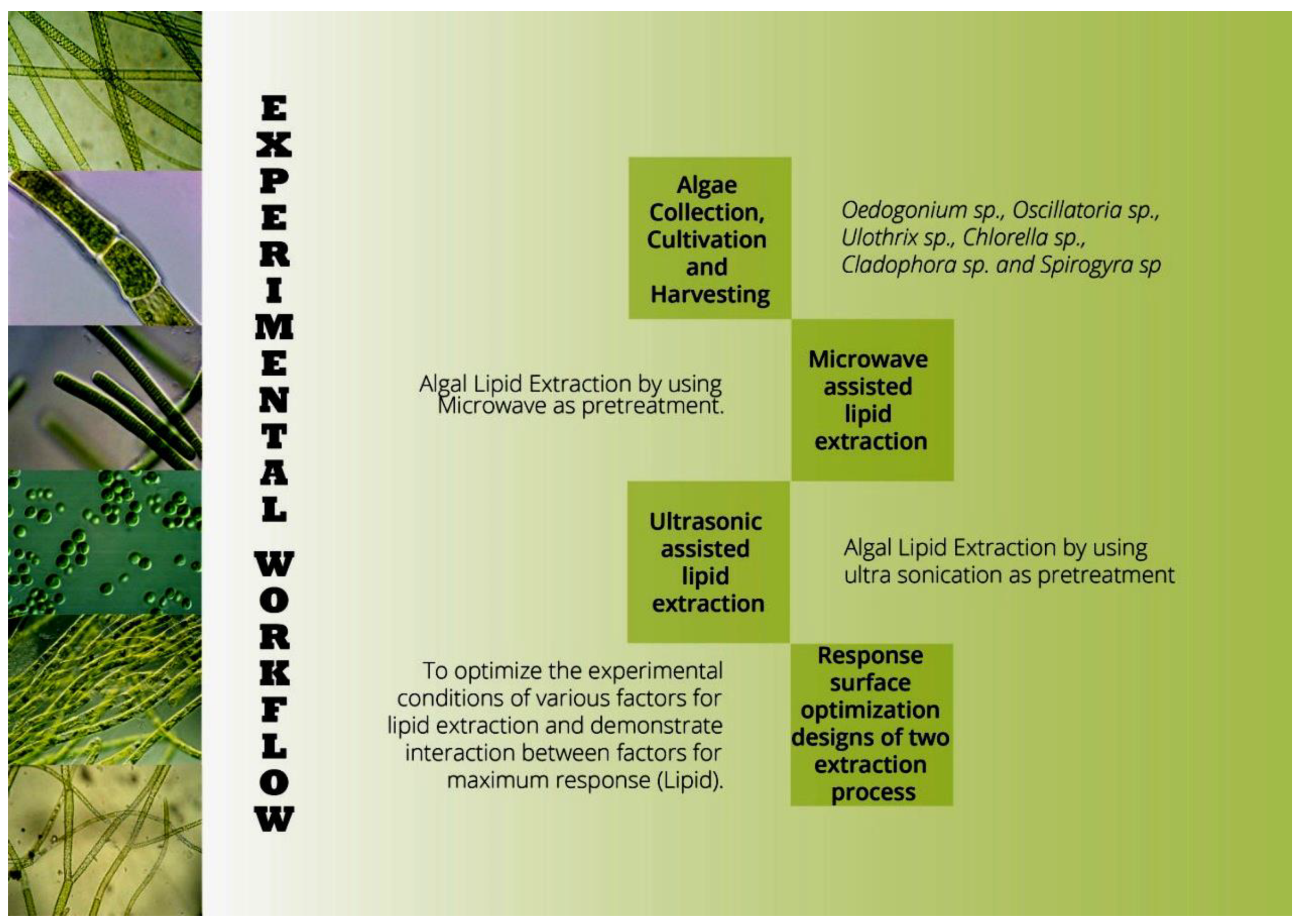 Agriculture 13 00407 g001