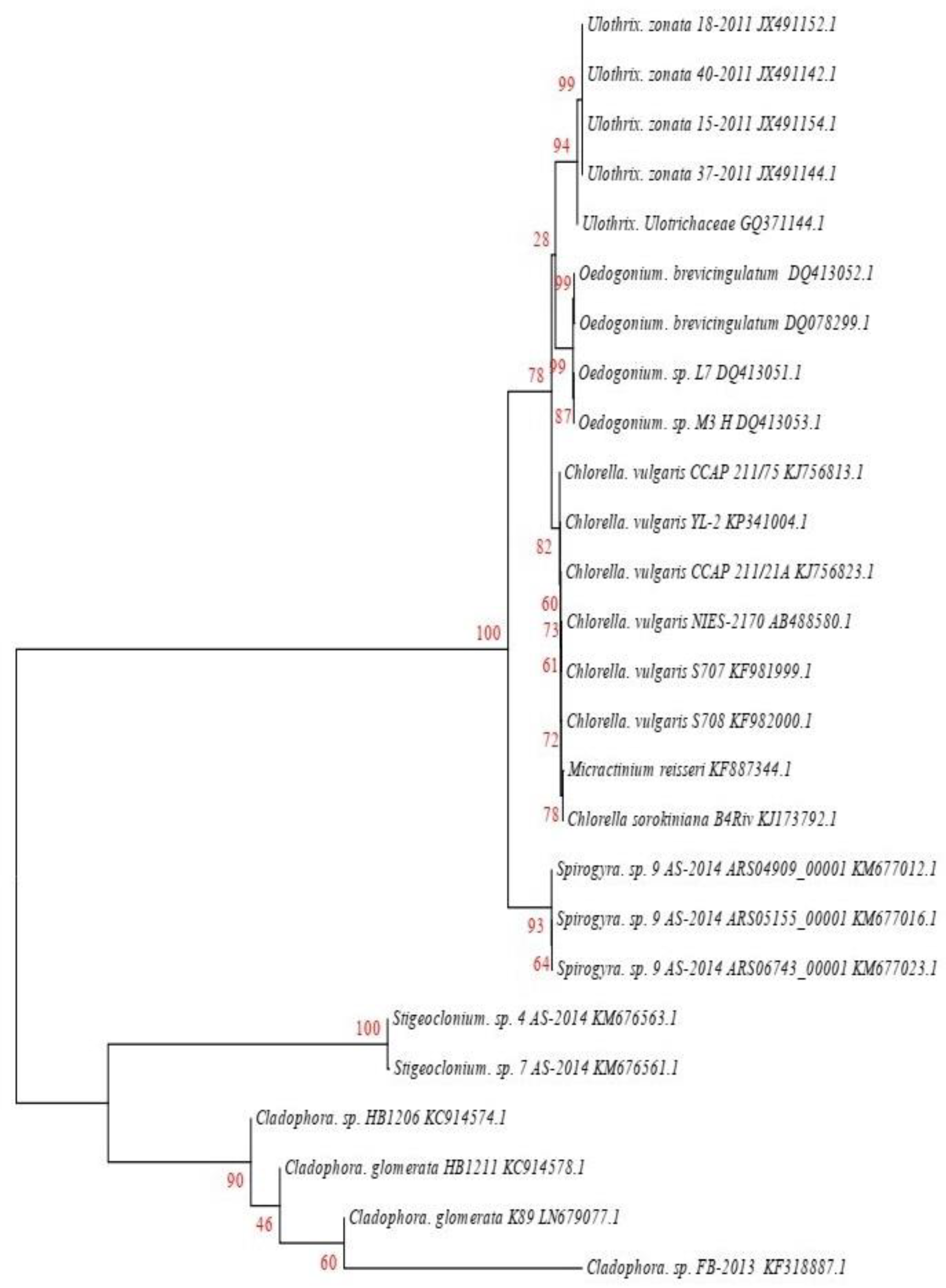 Agriculture 13 00407 g002