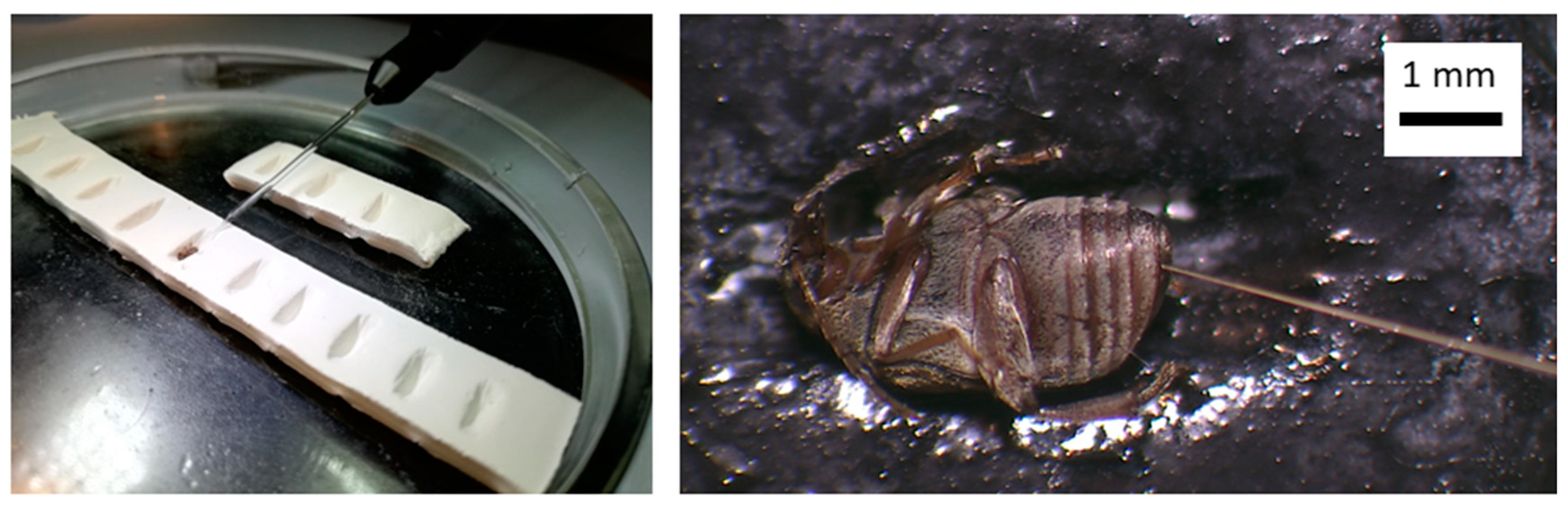 Agriculture 13 00412 g002