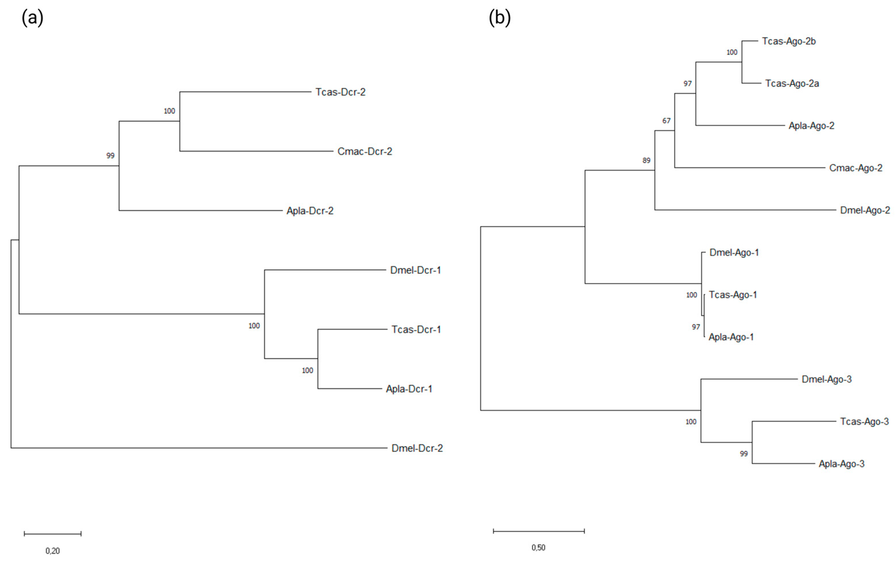 Agriculture 13 00412 g003