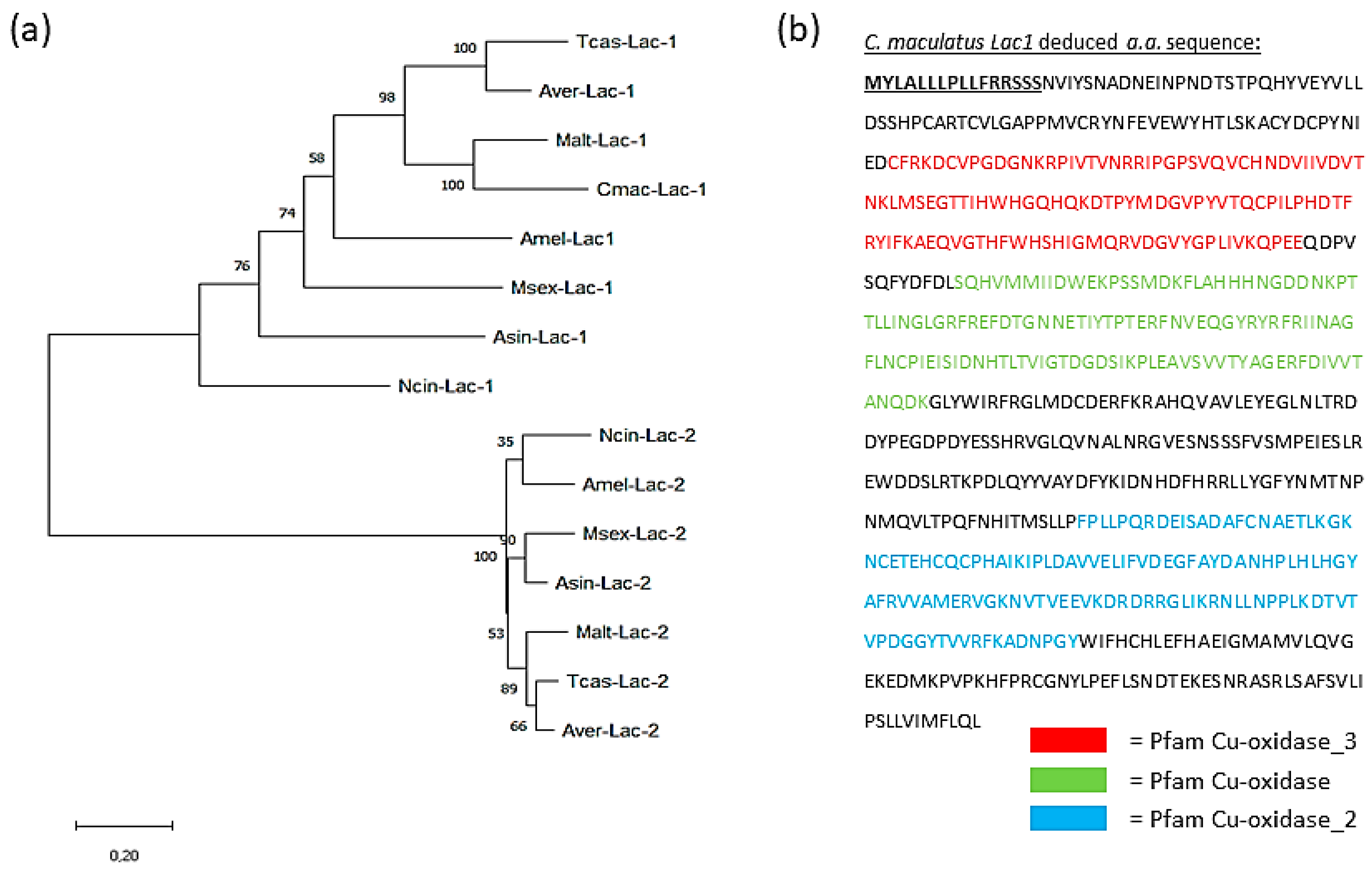 Agriculture 13 00412 g005