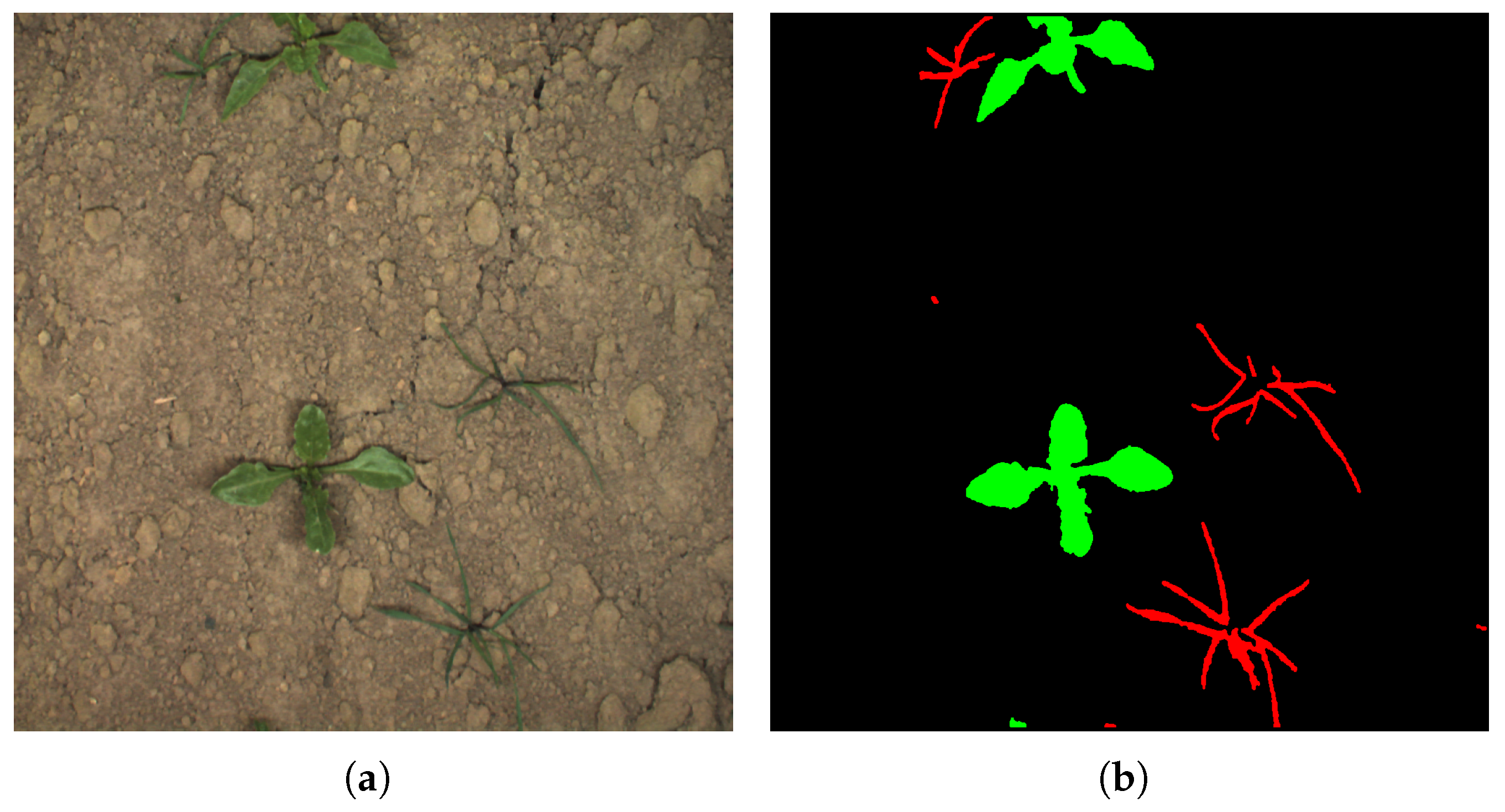 Agriculture 13 00413 g003