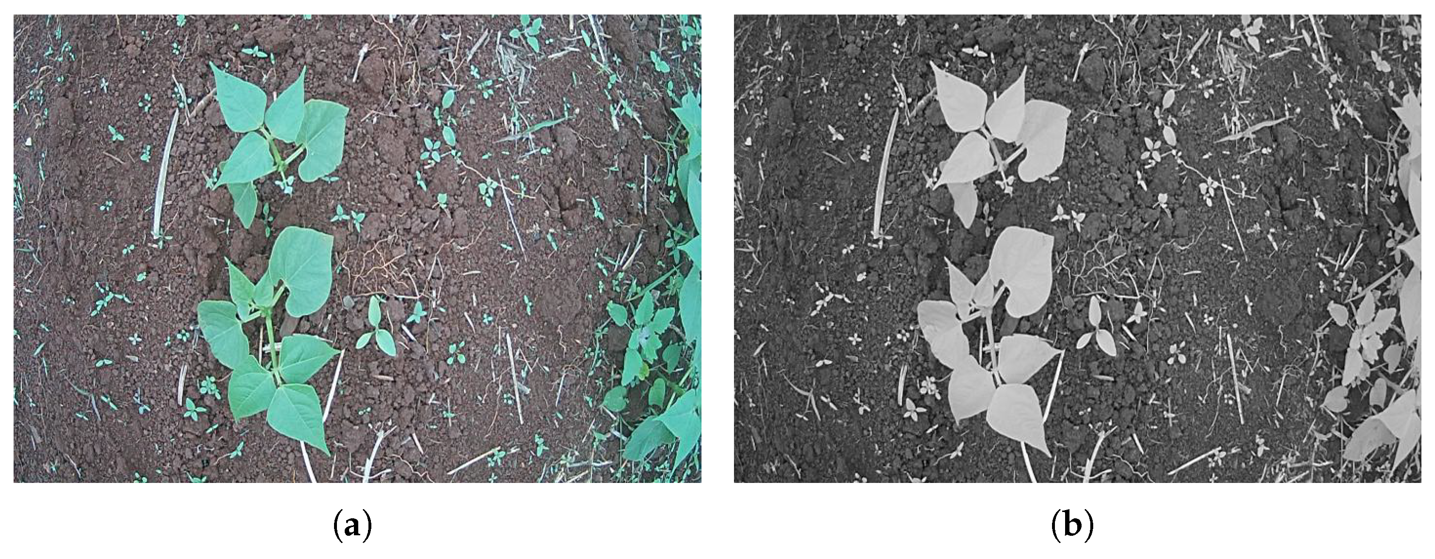 Agriculture 13 00413 g011