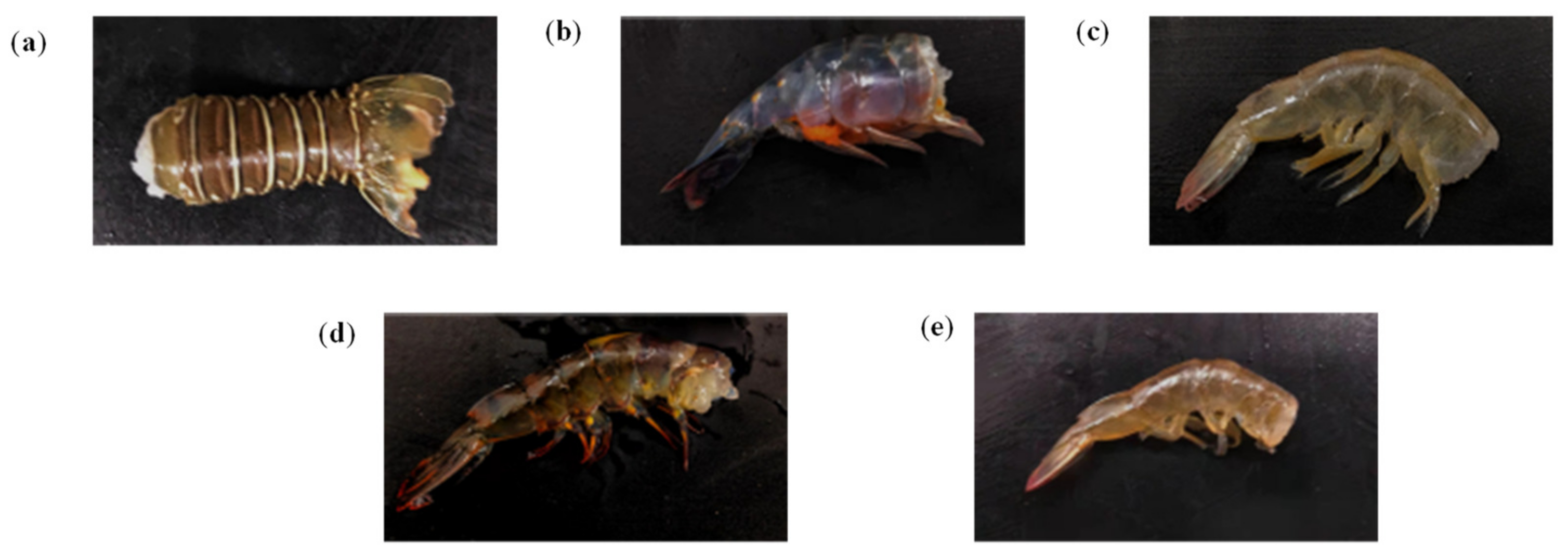 Agriculture 13 00422 g008