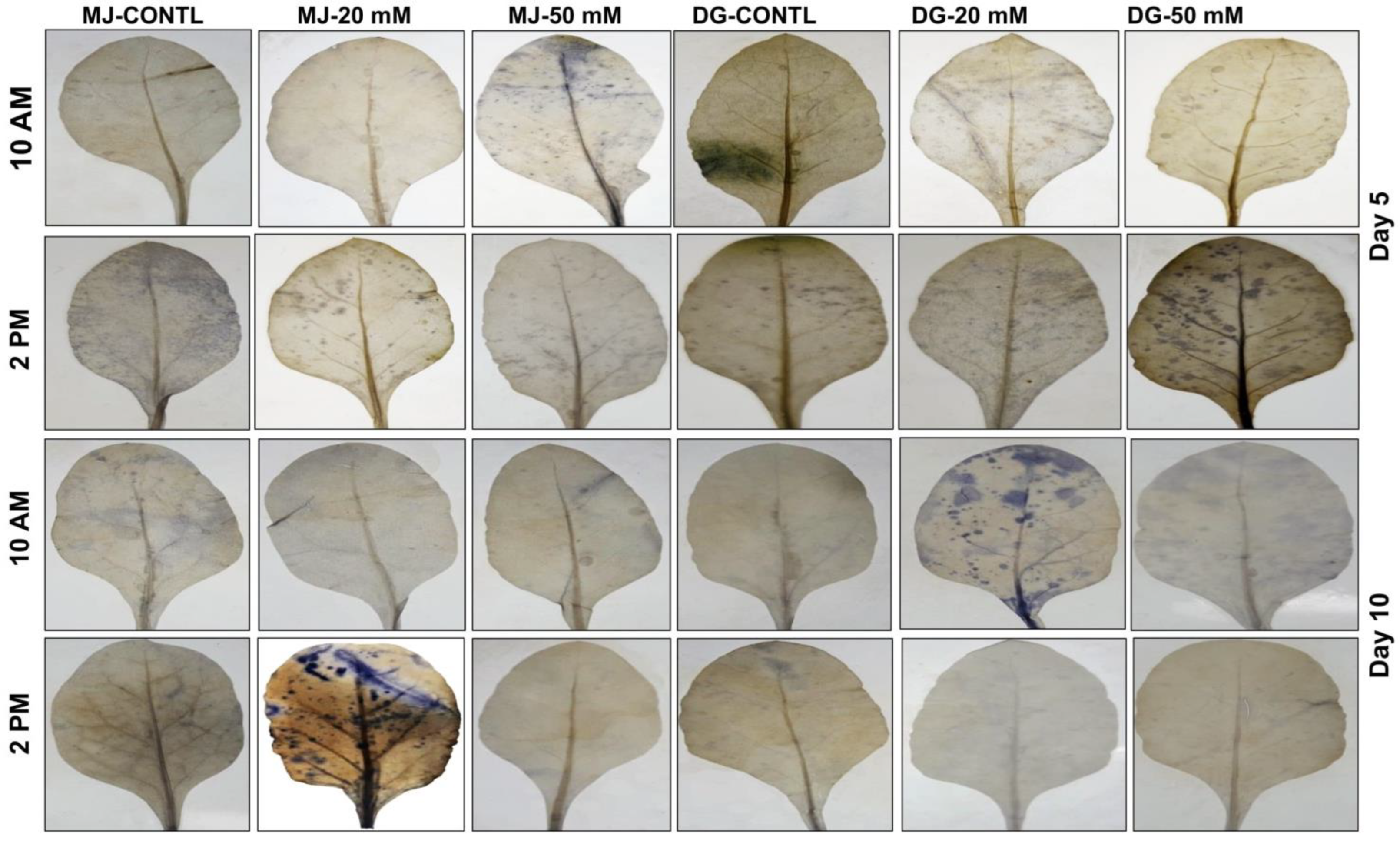 Agriculture 13 00429 g005 Agriculture 13 00429 g005