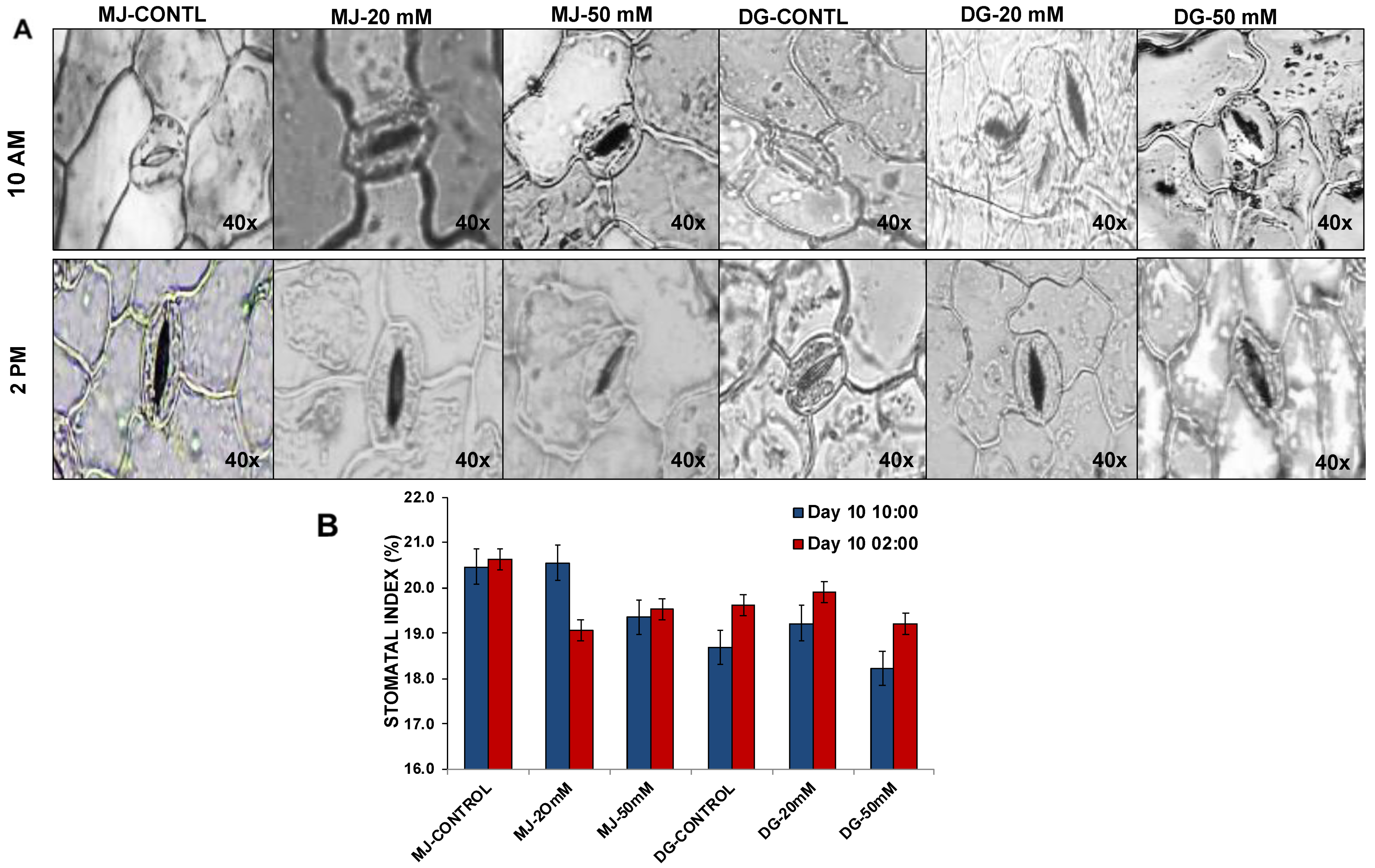 Agriculture 13 00429 g010 Agriculture 13 00429 g010