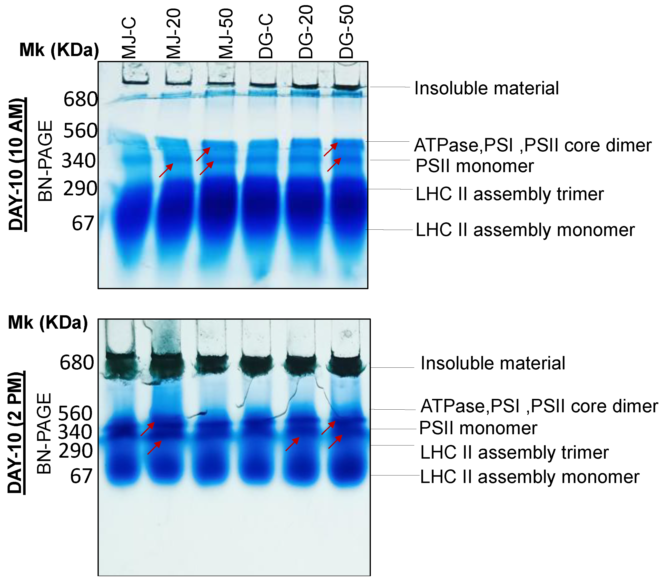 Agriculture 13 00429 g012 Agriculture 13 00429 g012