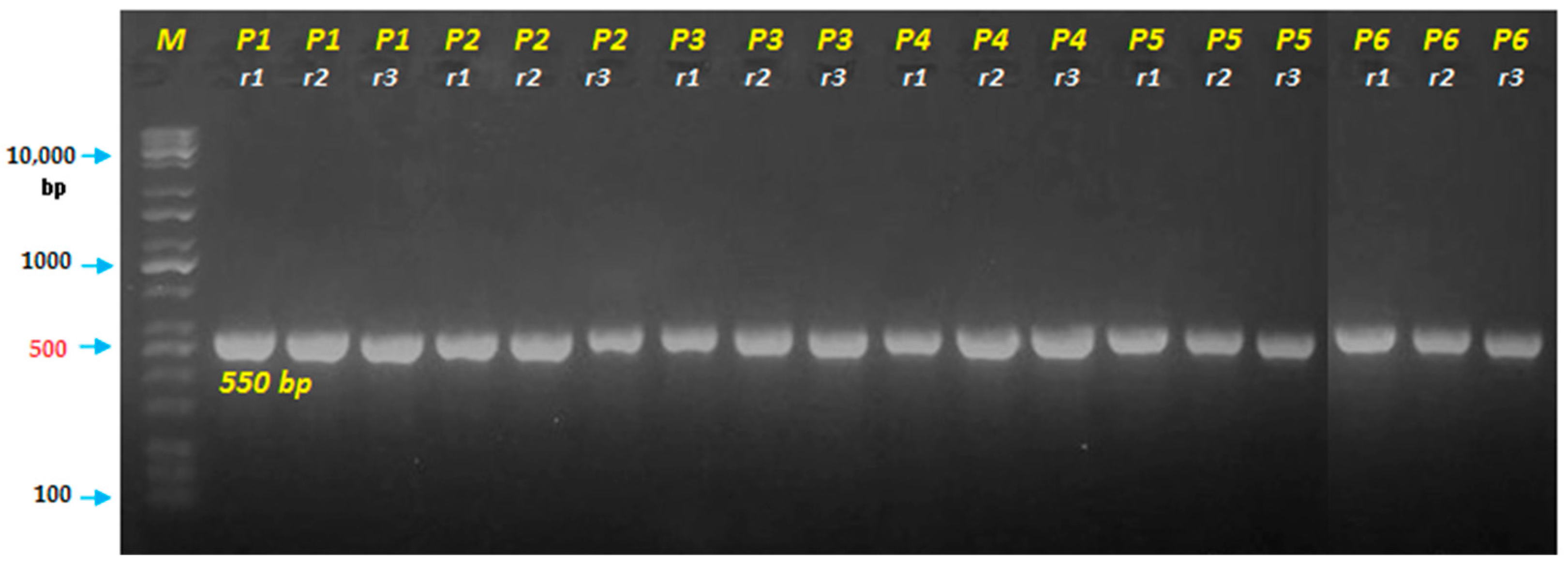 Agriculture 13 00435 g002