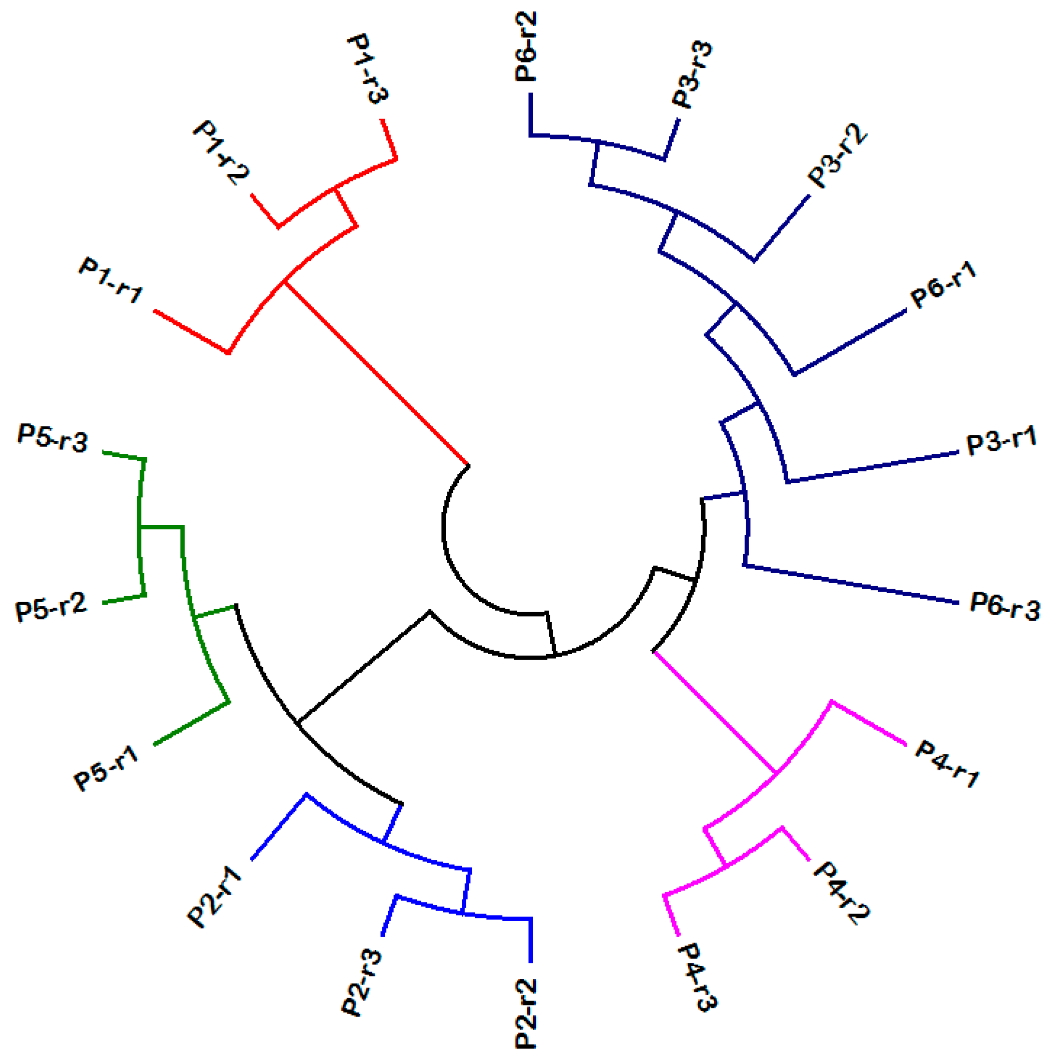 Agriculture 13 00435 g003