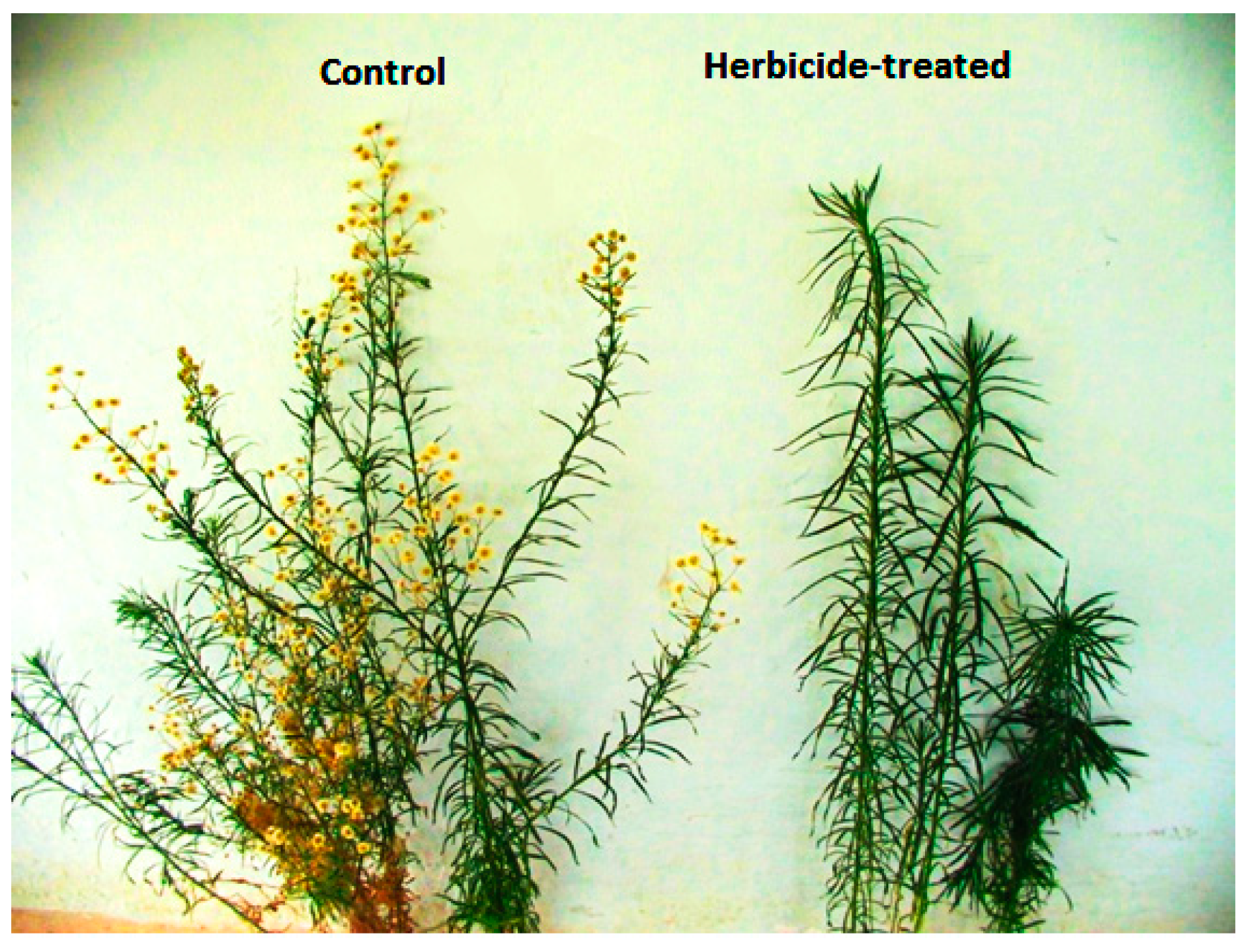 Agriculture 13 00435 g005