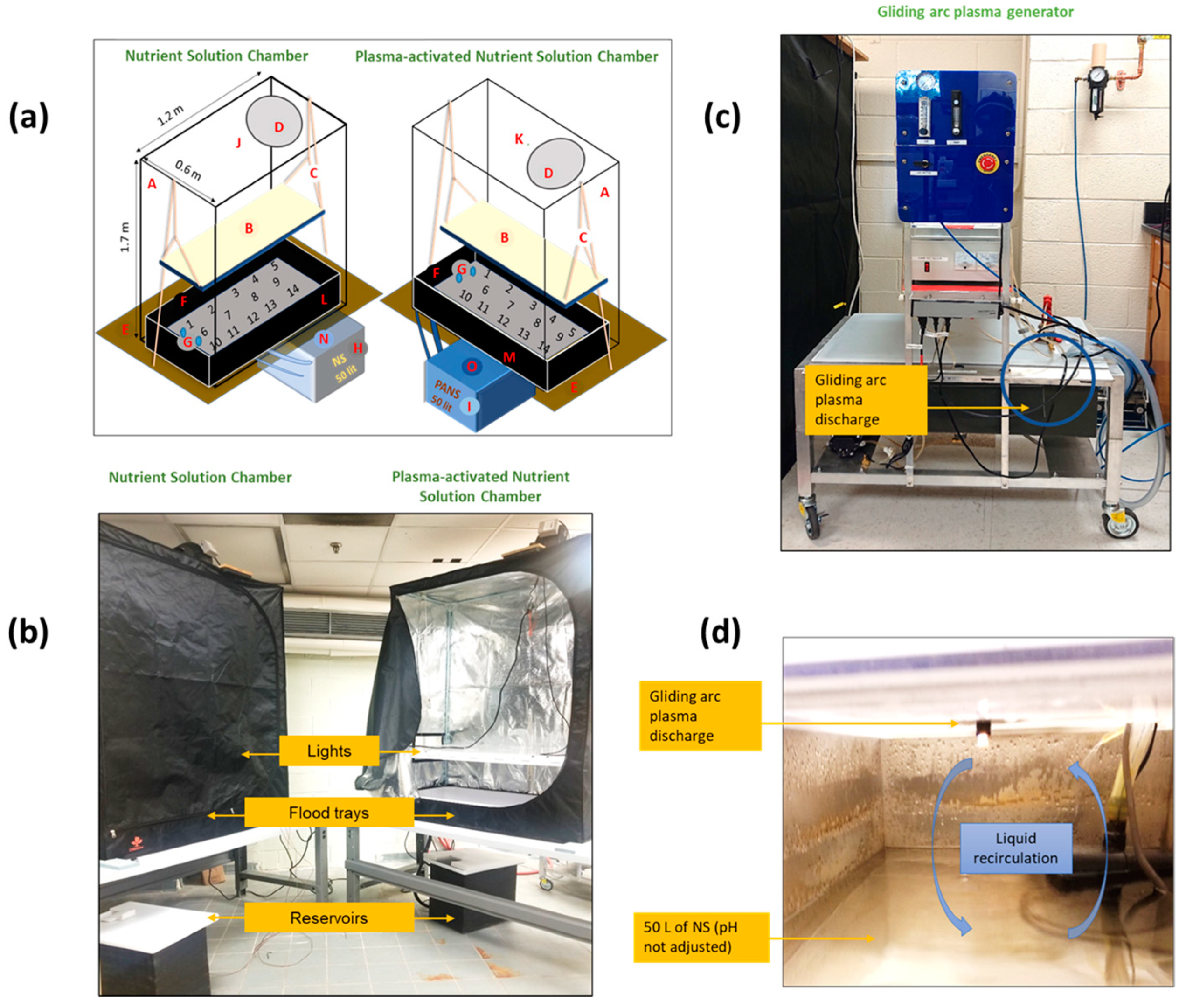 Agriculture 13 00443 g001