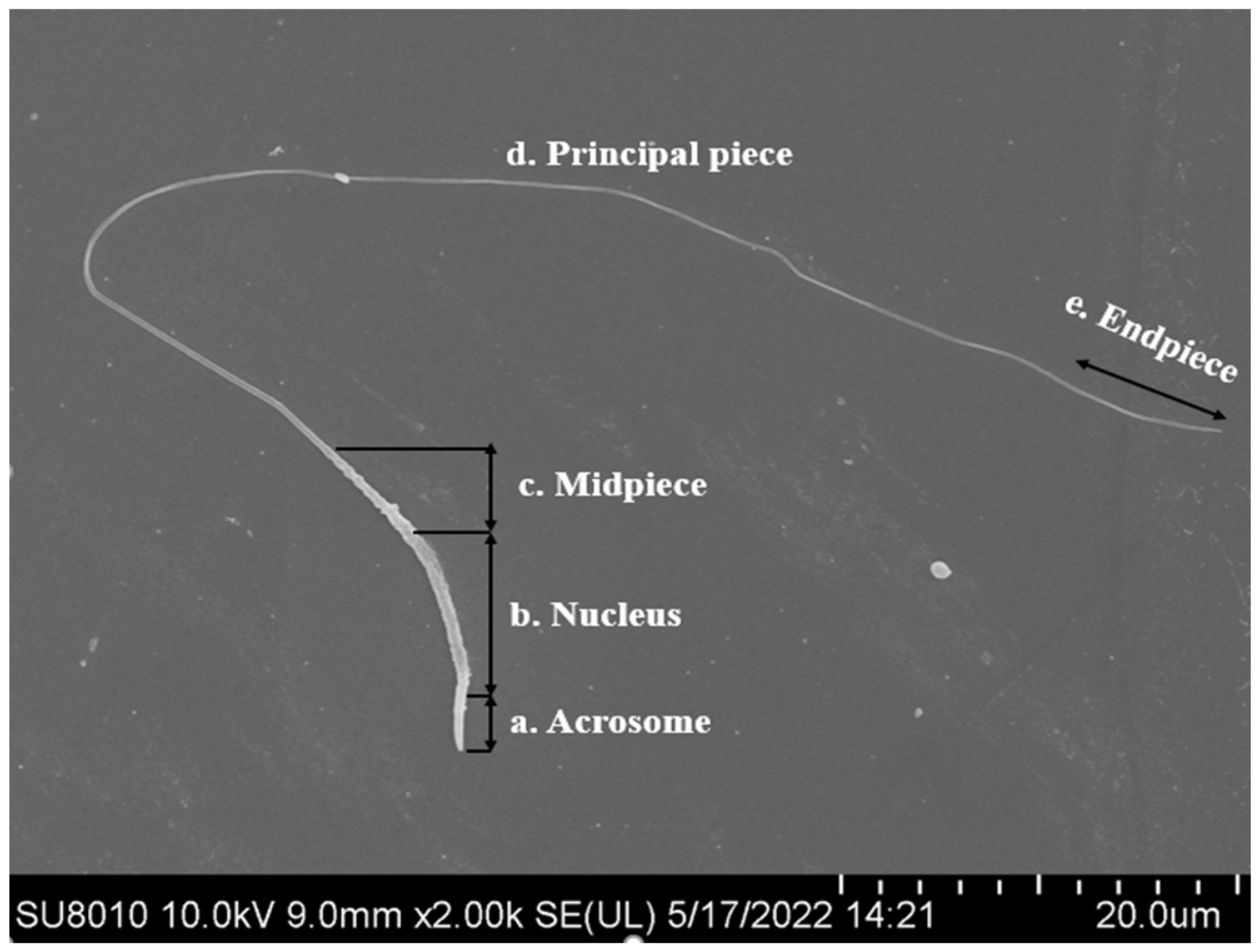 Agriculture 13 00445 g001