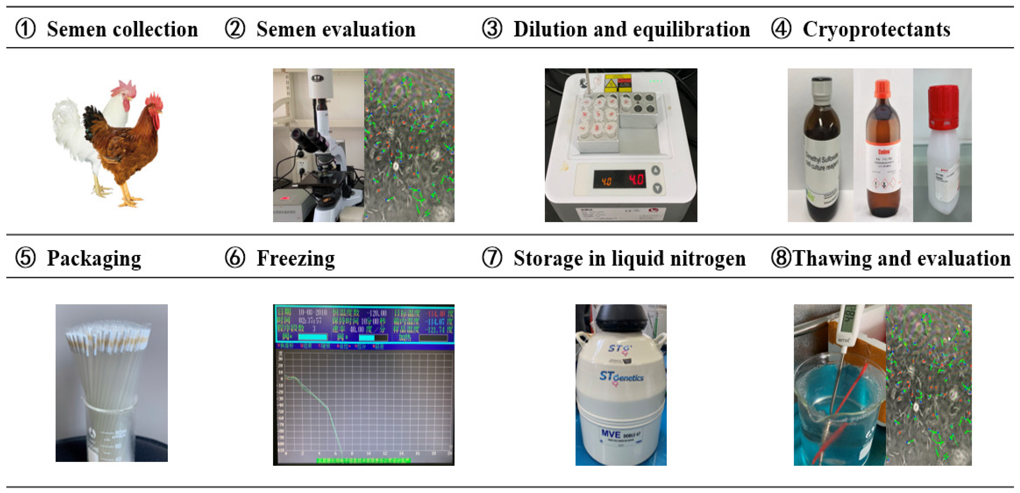 Agriculture 13 00445 g002