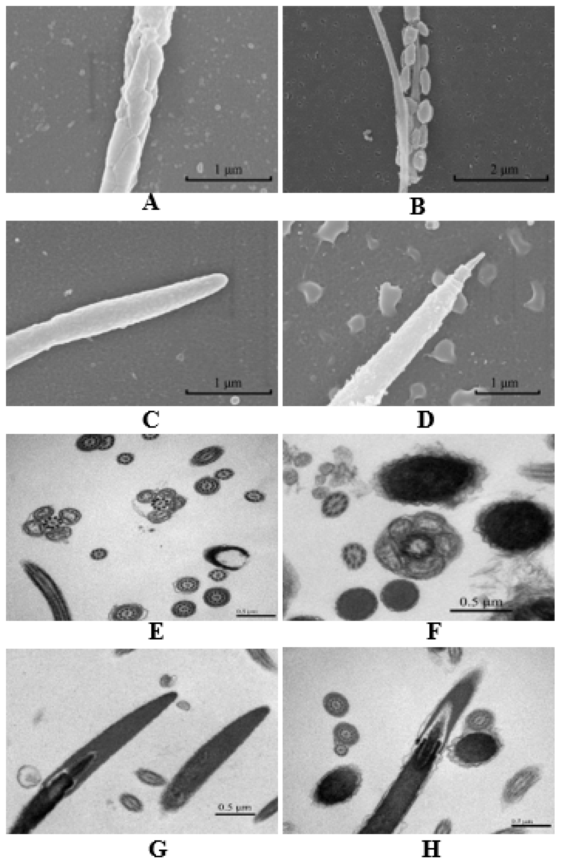Agriculture 13 00445 g003