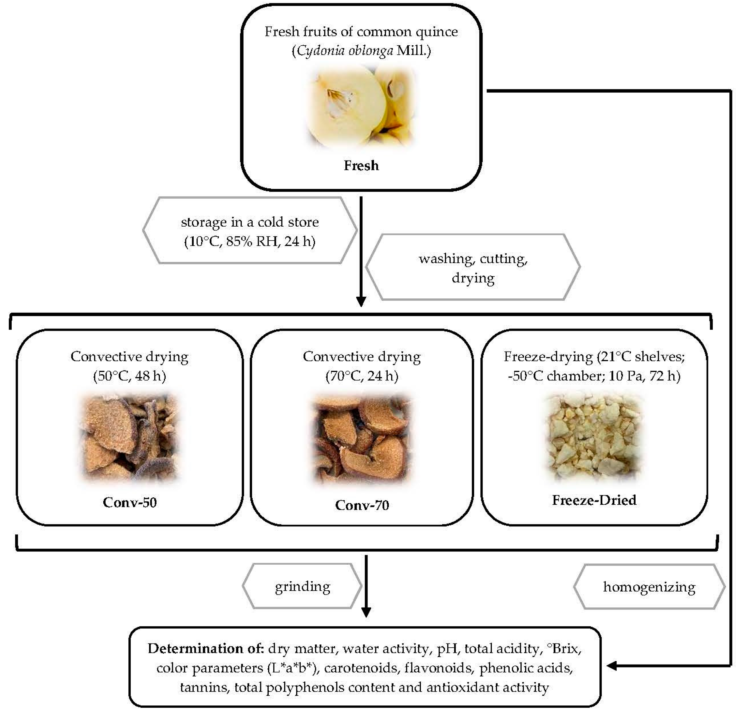Agriculture 13 00446 g001