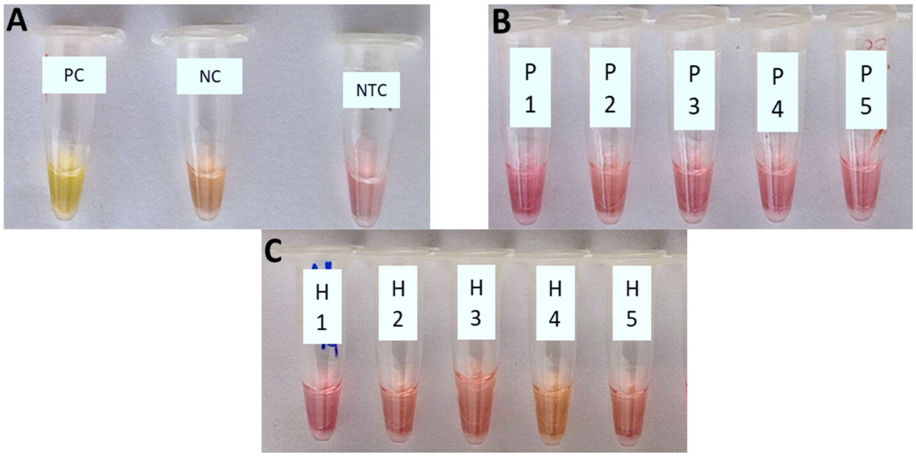 Agriculture 13 00448 g002