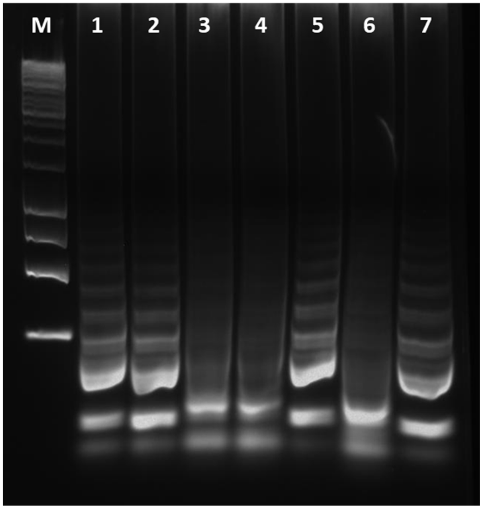 Agriculture 13 00448 g004