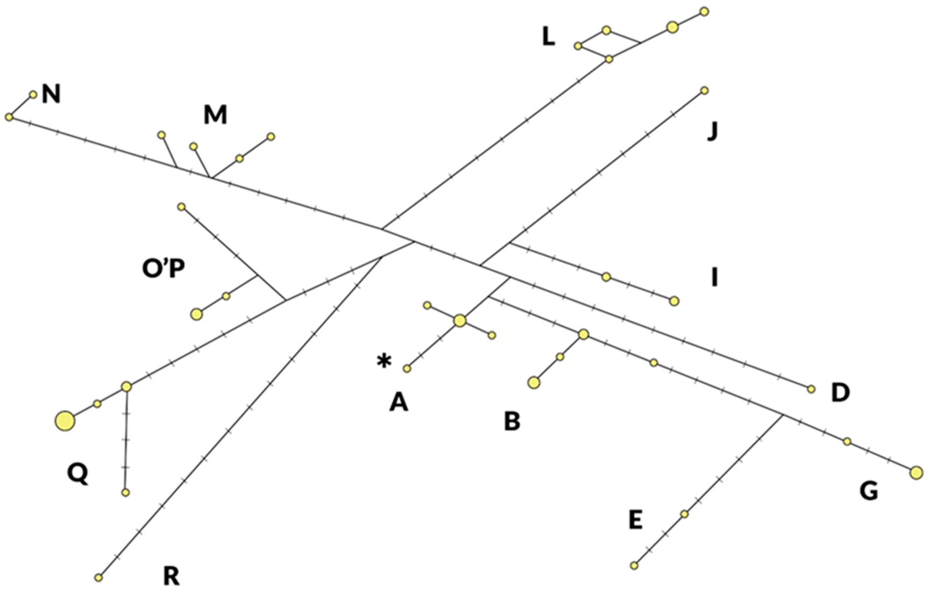 Agriculture 13 00456 g001